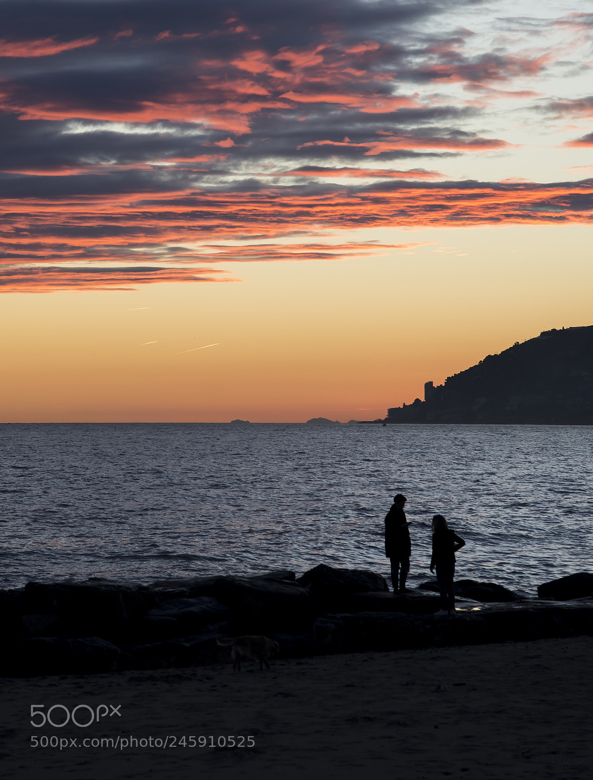 Nikon D610 sample photo. Silhouette photography