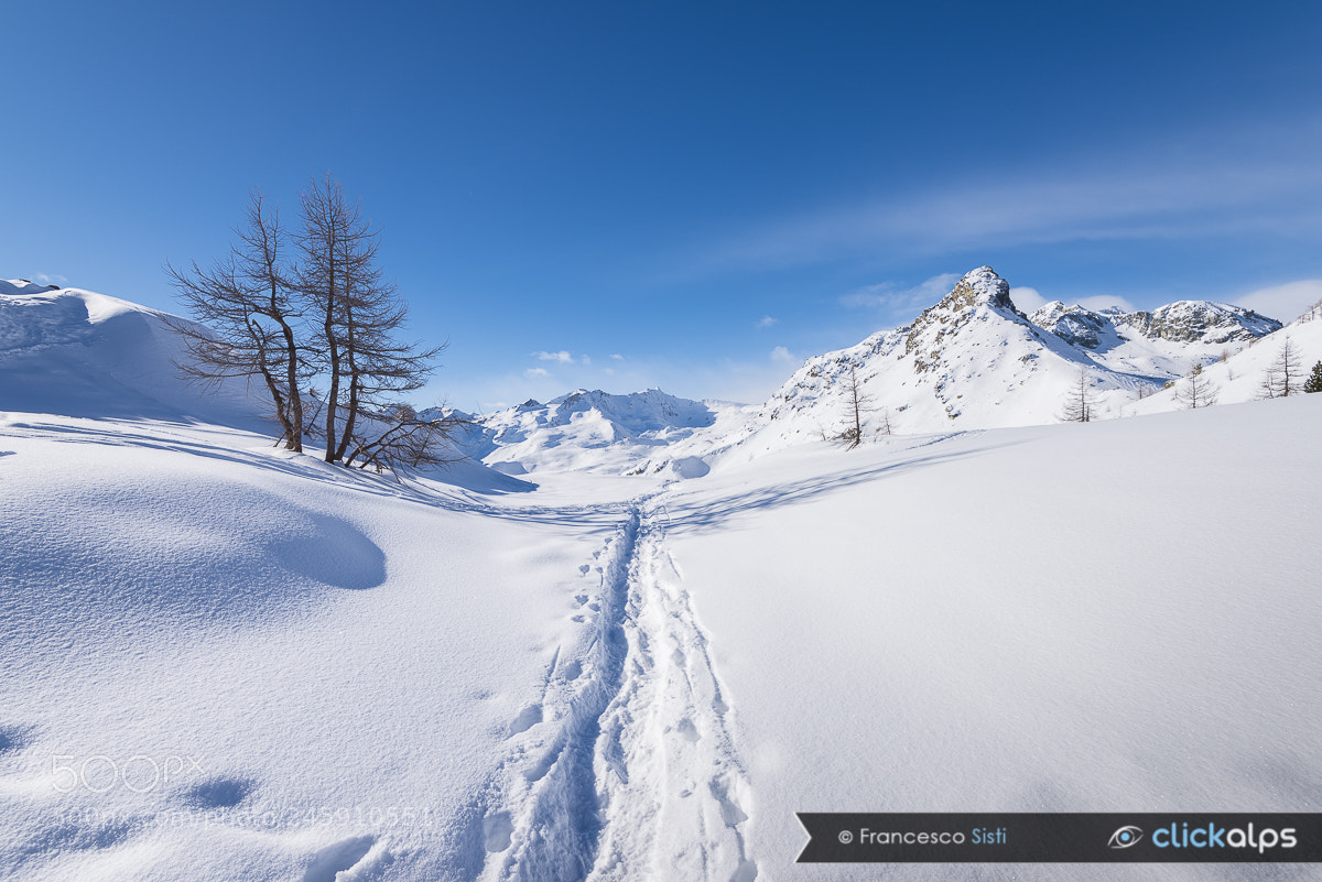Nikon D810 sample photo. Sweet winter champorcher, vall photography