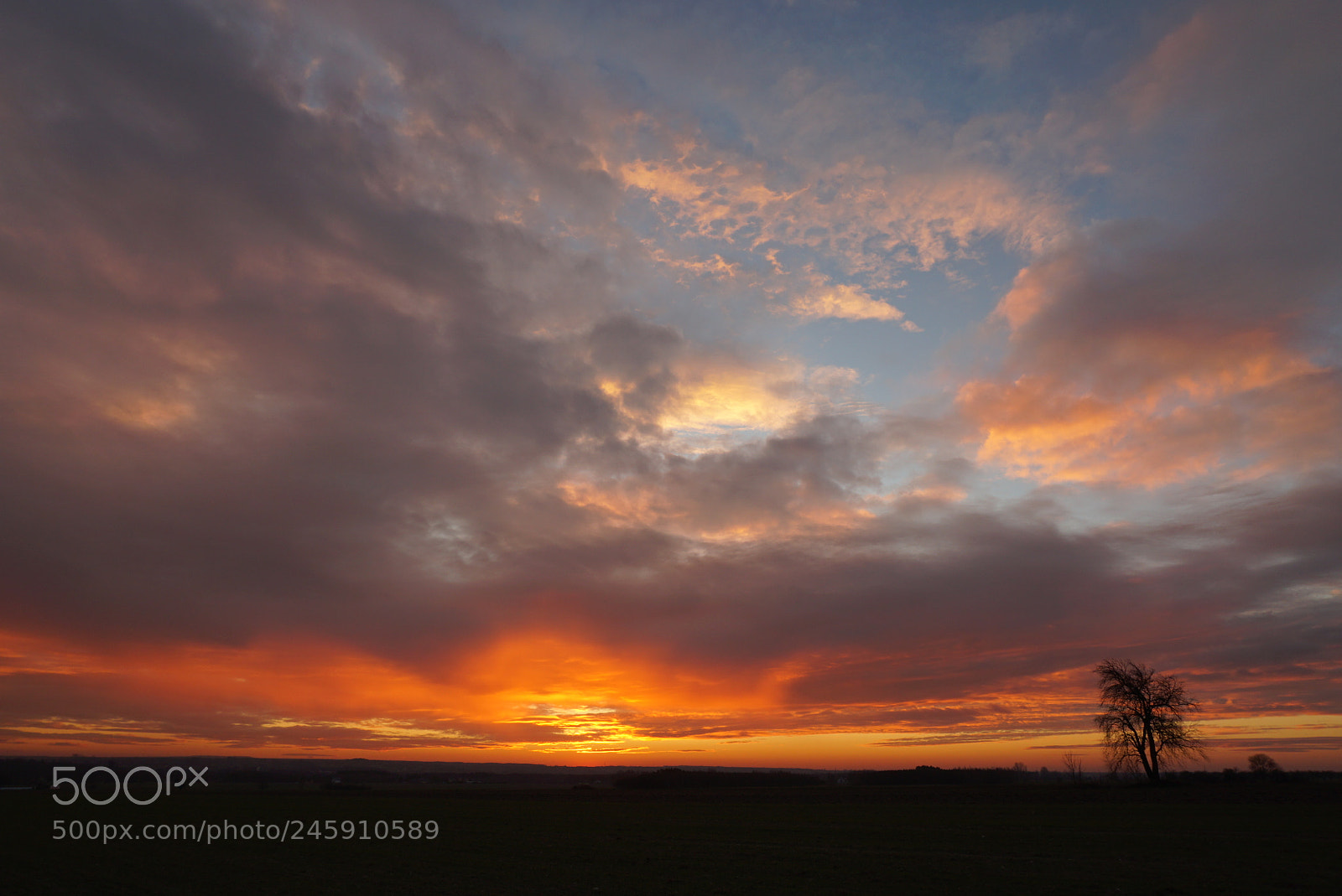 Sony a6300 sample photo. Dsc photography