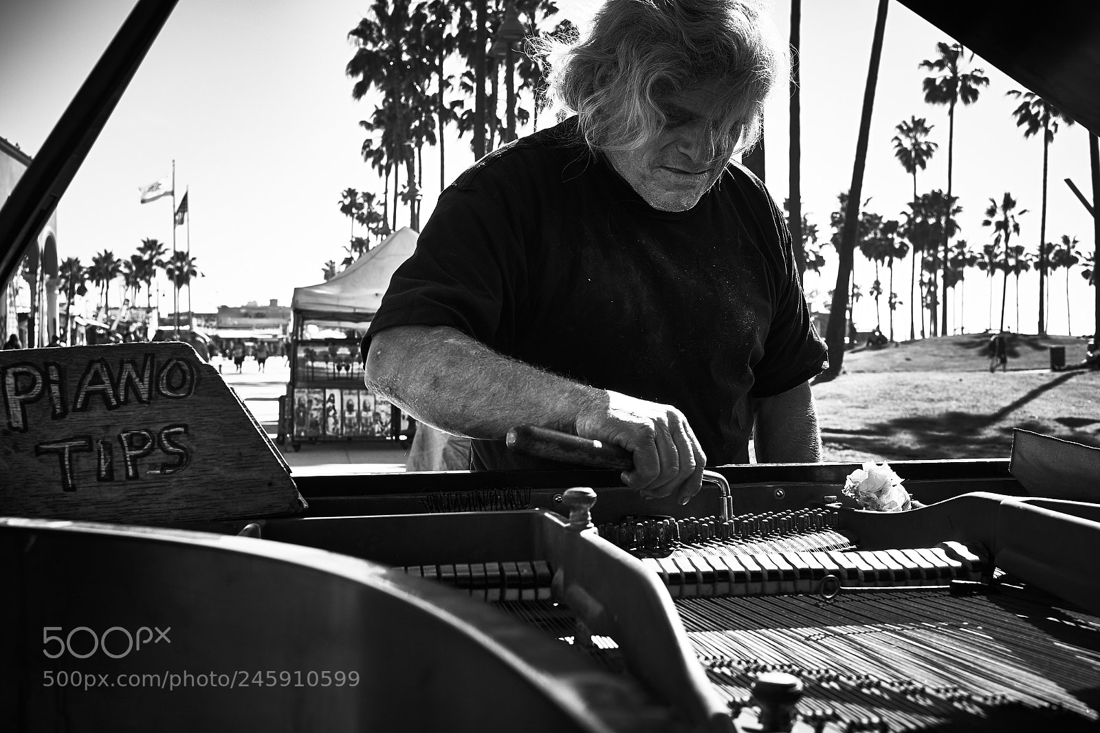 Fujifilm X-T1 sample photo. Piano tips photography