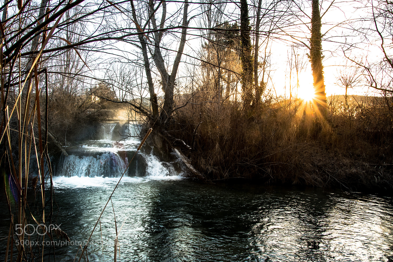 Nikon D7500 sample photo. Vsg photography