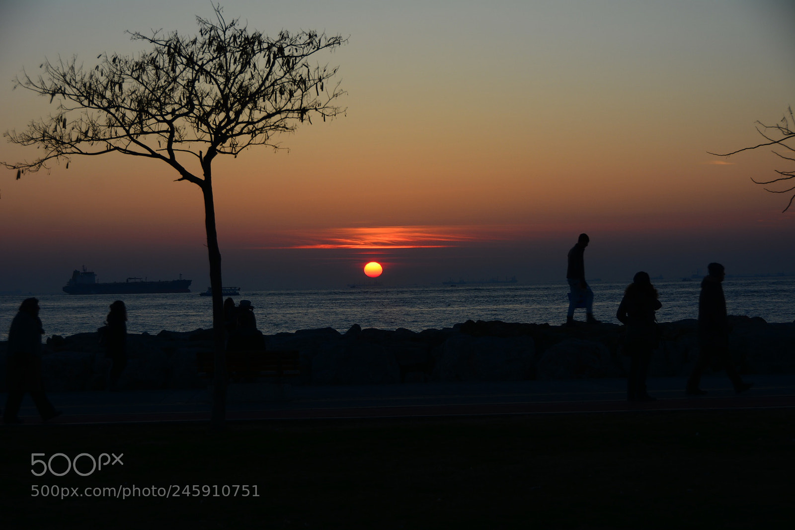 Nikon D7100 sample photo. Untitled photography