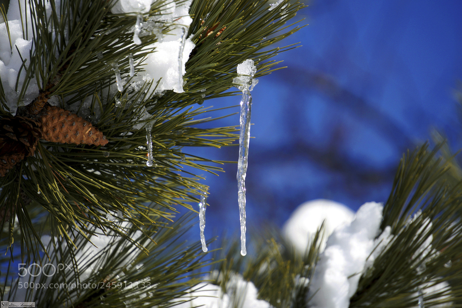 Sony E 55-210mm F4.5-6.3 OSS sample photo. () photography