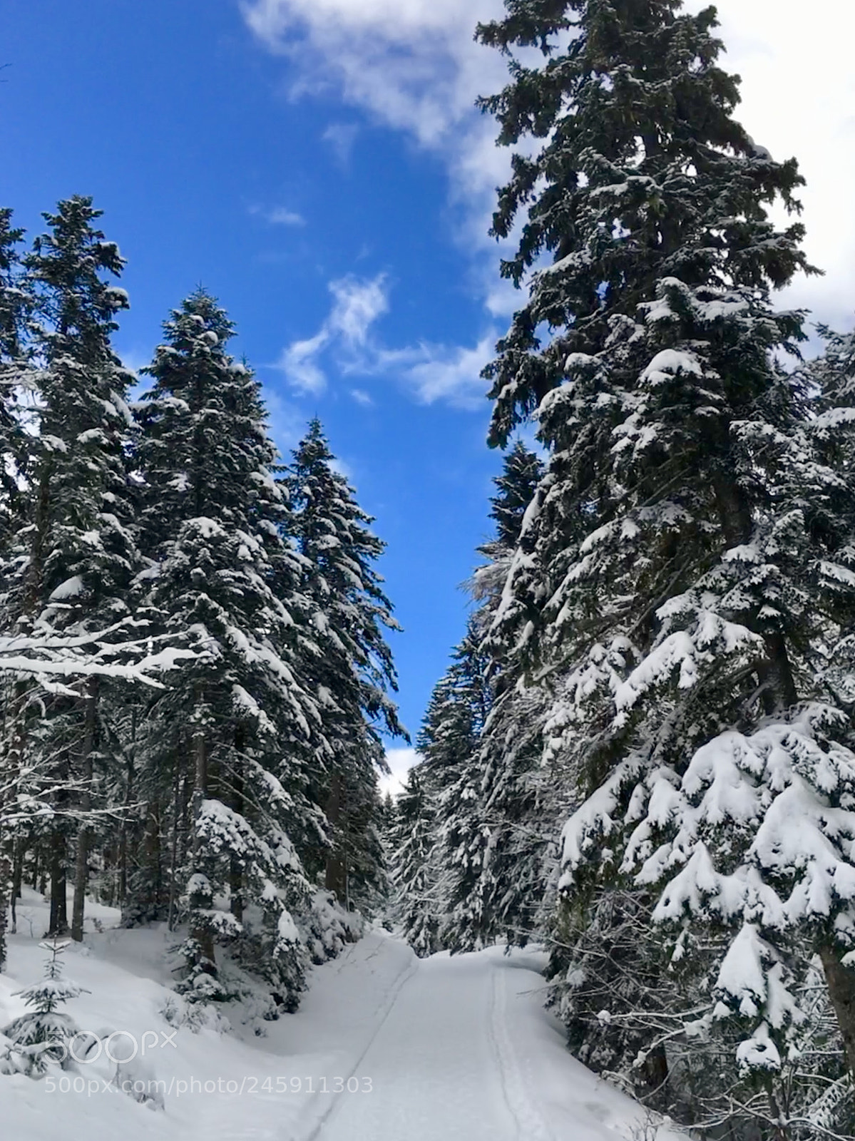 Apple iPhone 6s Plus sample photo. Snowshoeing near saint-cergues, switzerland photography
