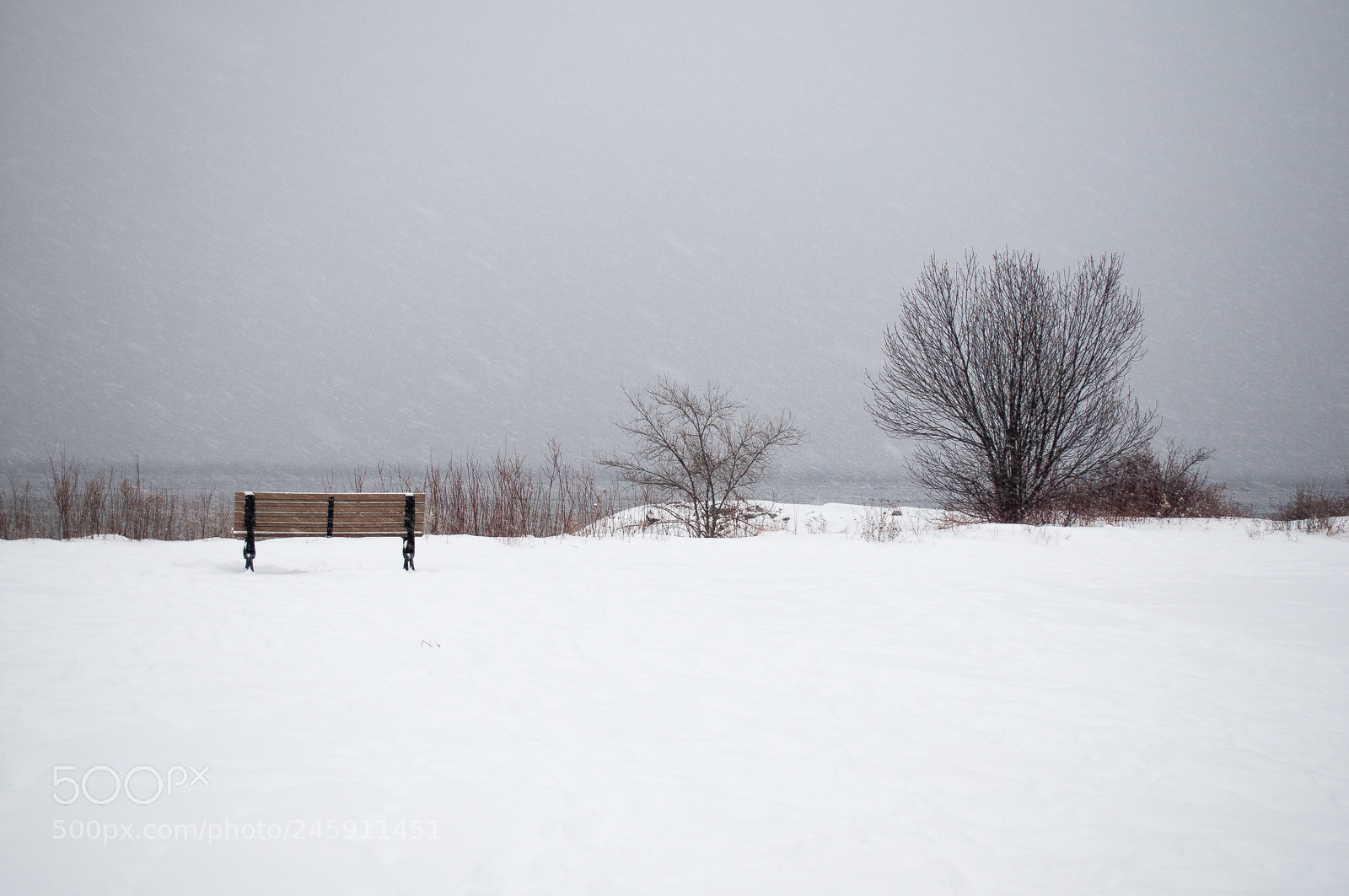 Nikon D90 sample photo. A cold seat photography