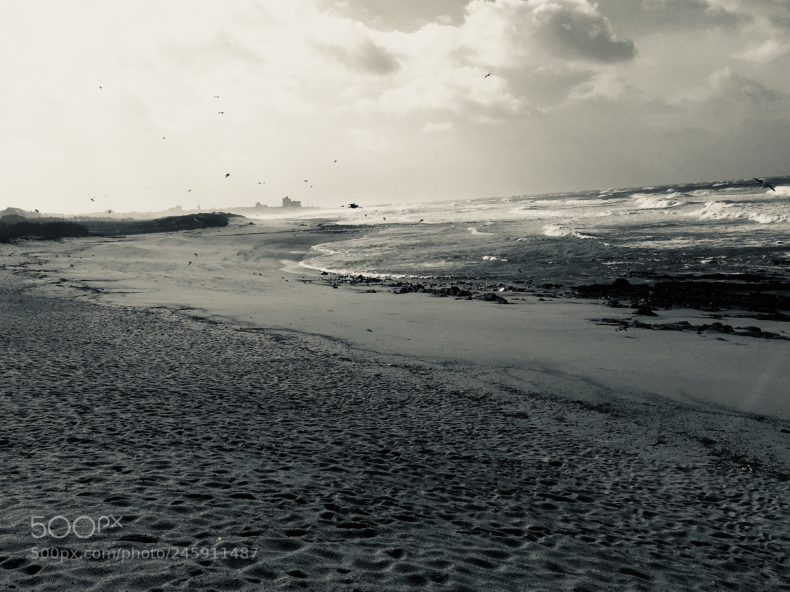 Apple iPhone 6 Plus sample photo. Untitled photography