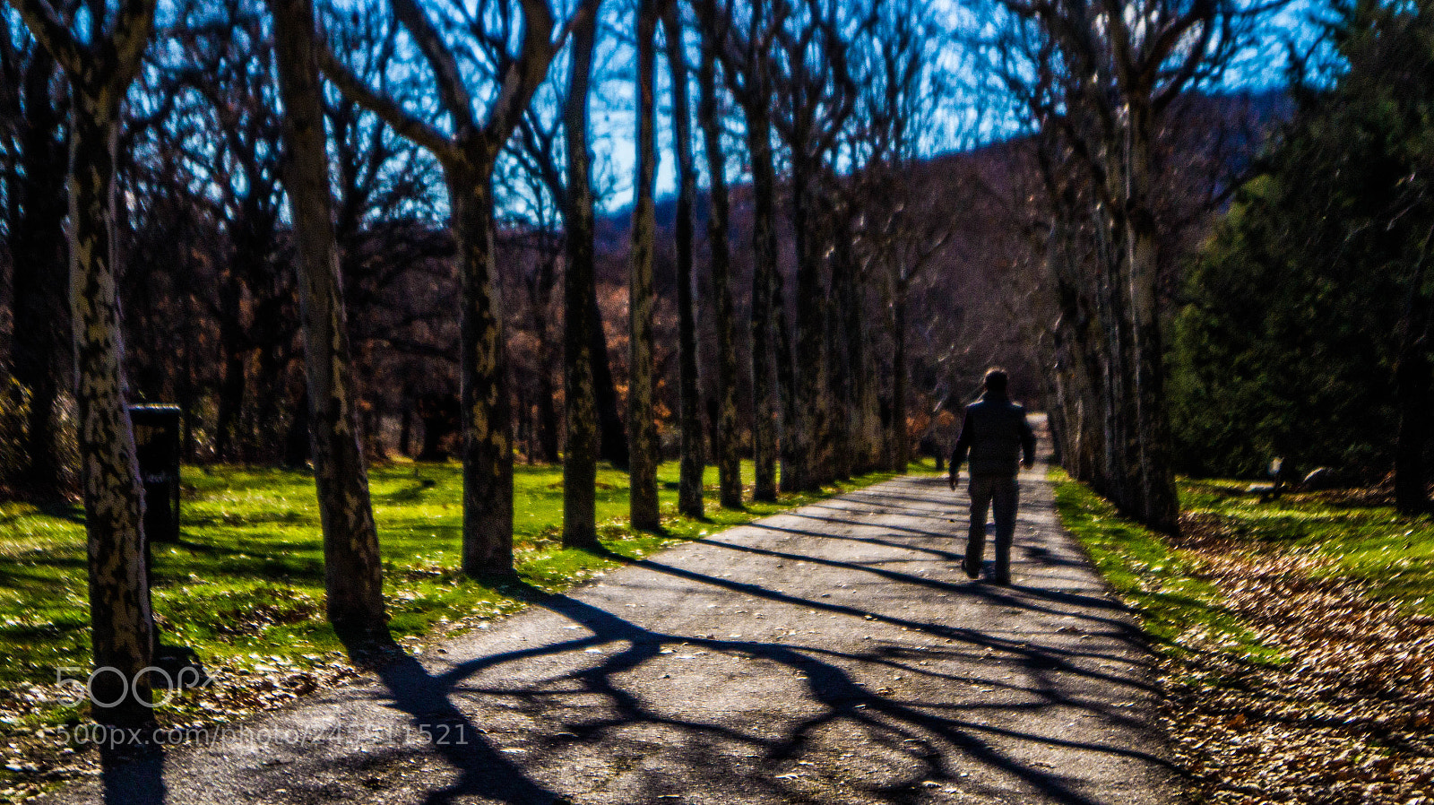 Sony SLT-A58 sample photo. Journey to the end photography