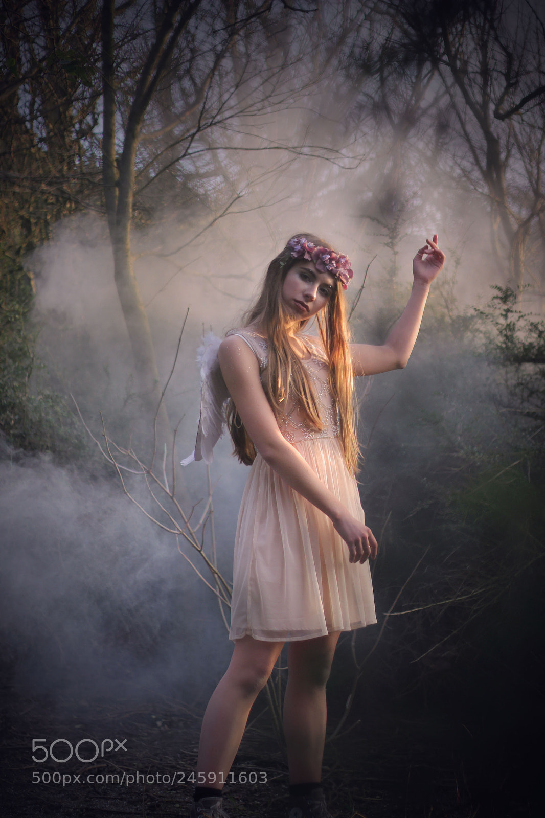 Canon EOS 600D (Rebel EOS T3i / EOS Kiss X5) sample photo. Fairy photography