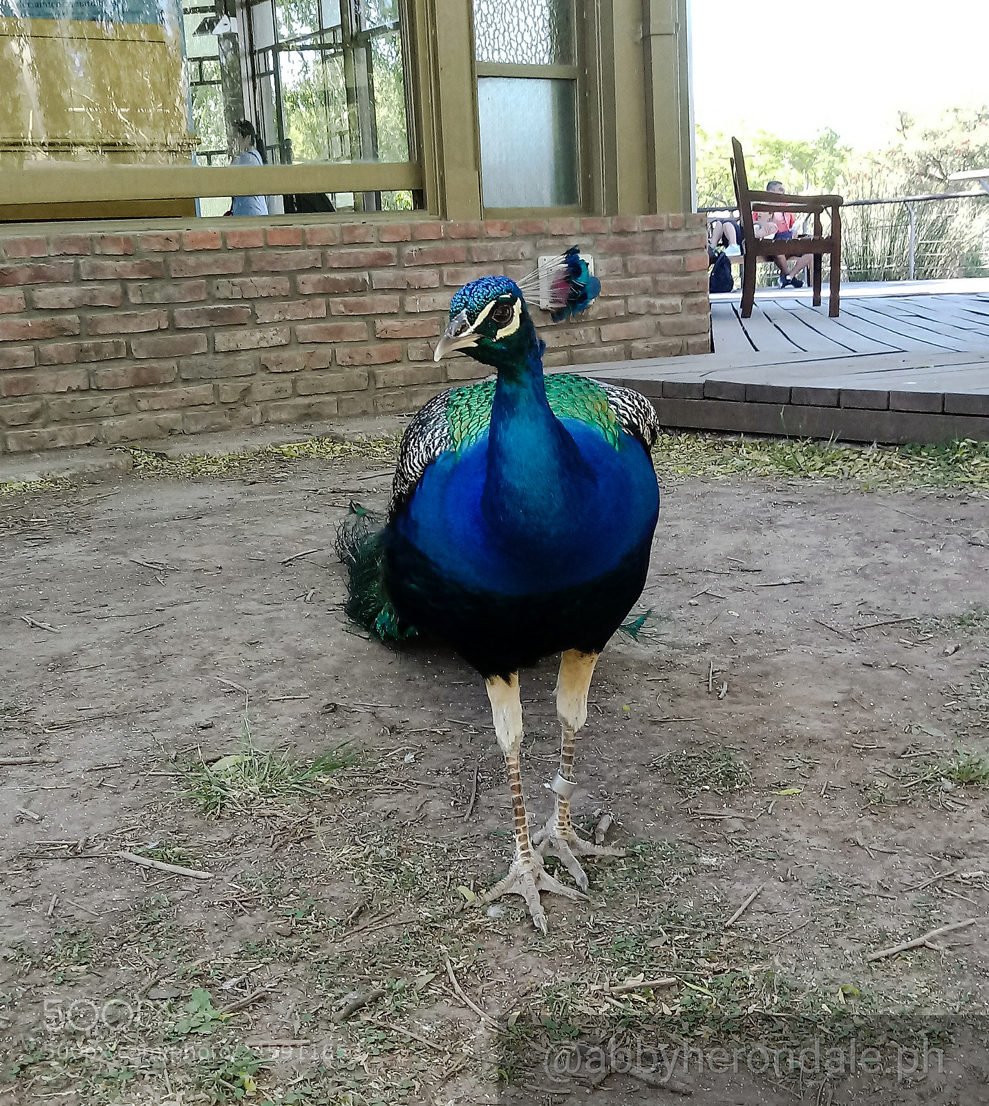 LG K10 (2017) sample photo. Untitled photography