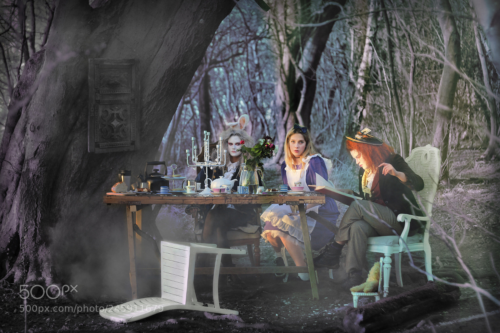 Canon EOS 600D (Rebel EOS T3i / EOS Kiss X5) sample photo. Alice in wonderland photography