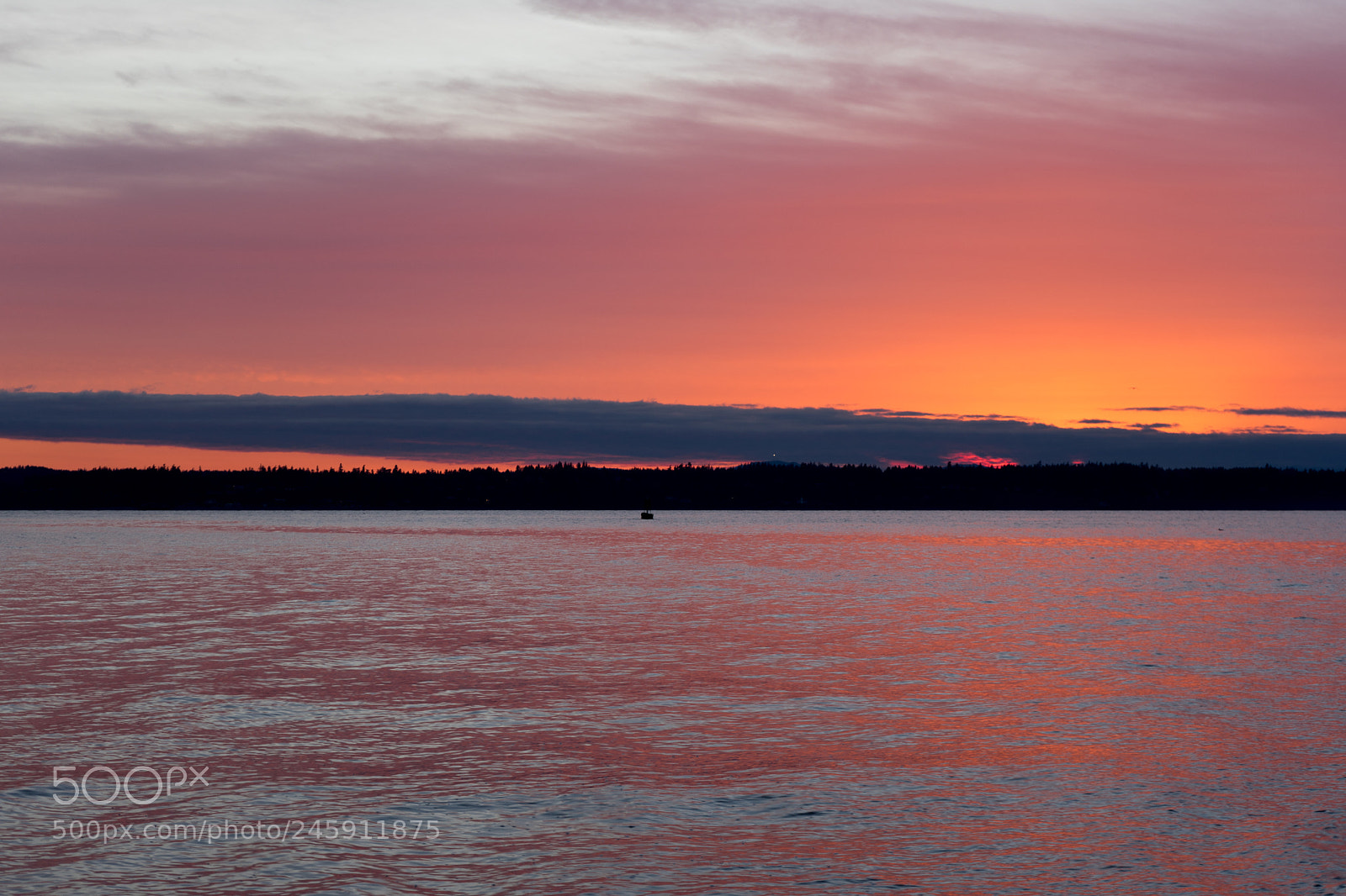 Sony a7 II sample photo. Sunset photography