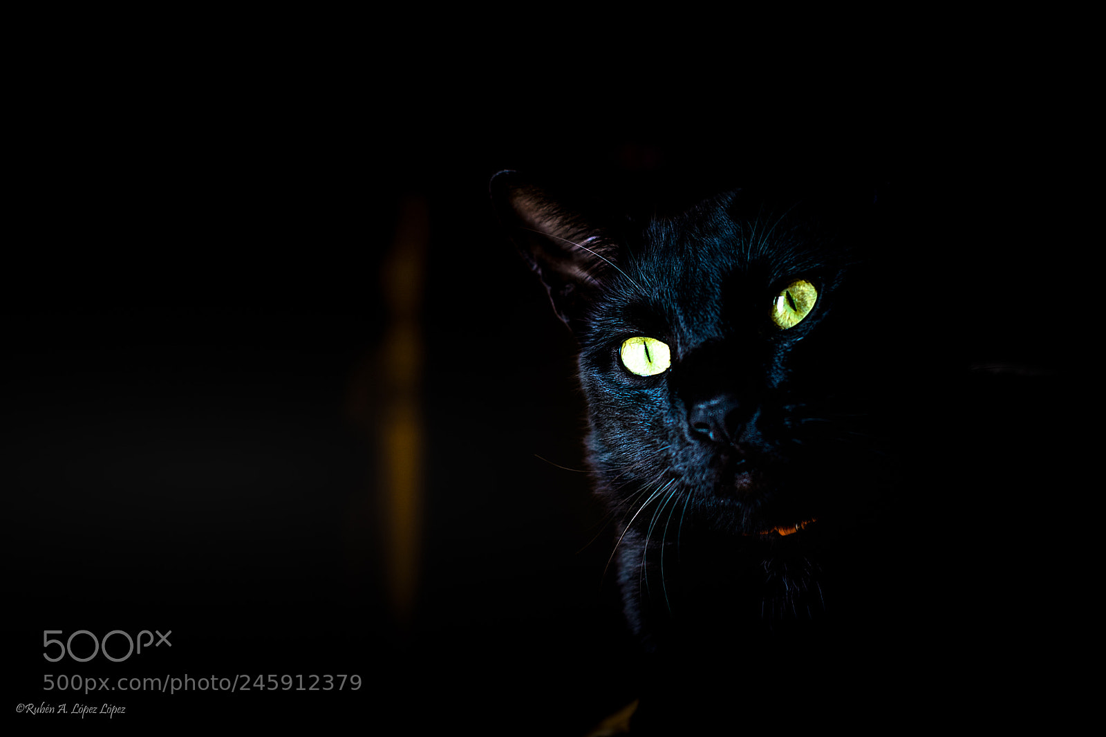 Nikon D7100 sample photo. Obi photography