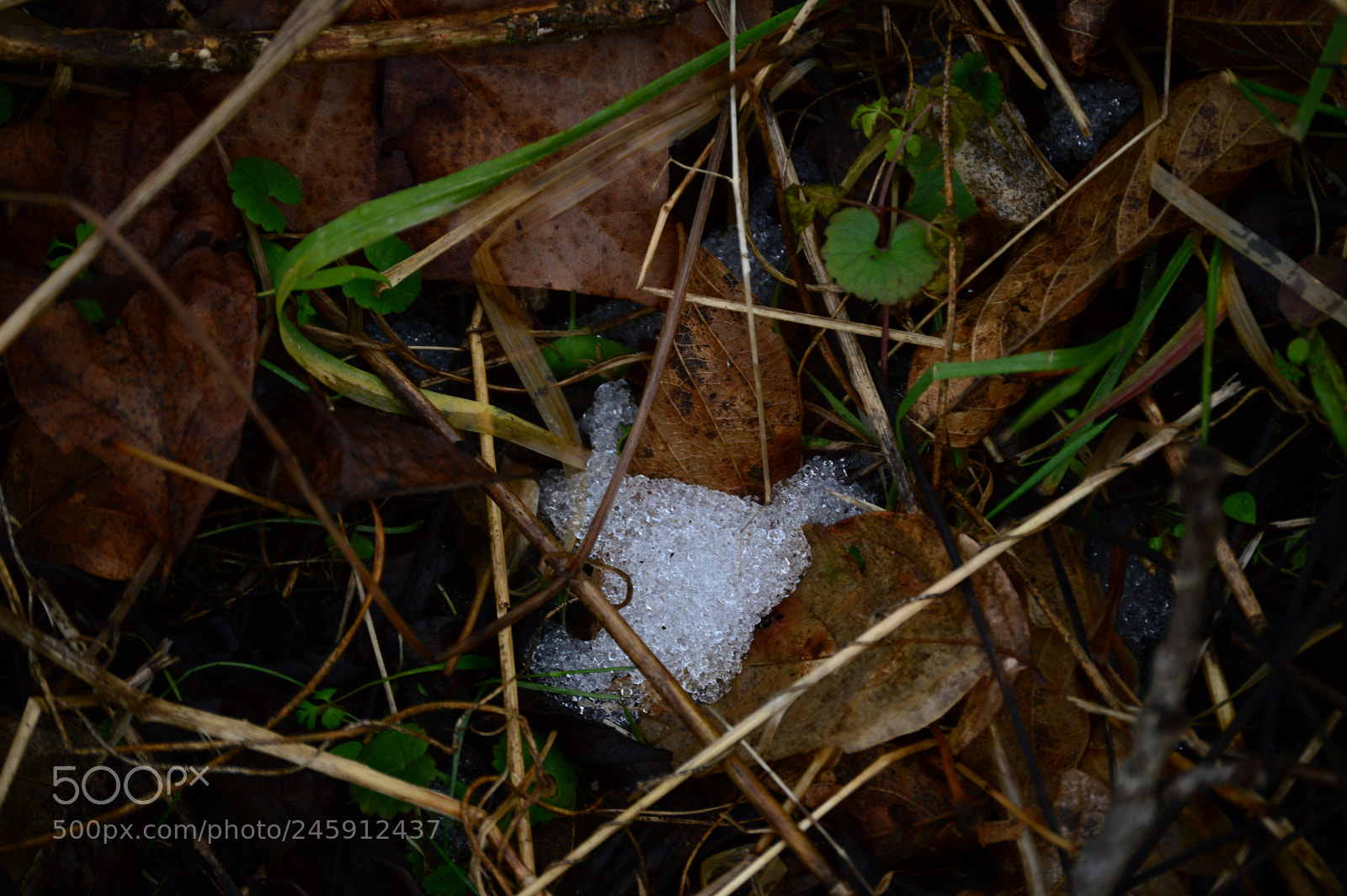 Nikon D3200 sample photo. Holding out photography
