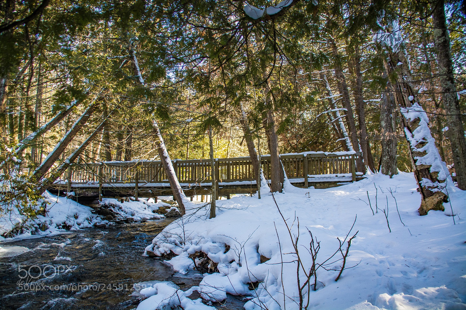 Nikon D7100 sample photo. Bridge over icy water . . photography