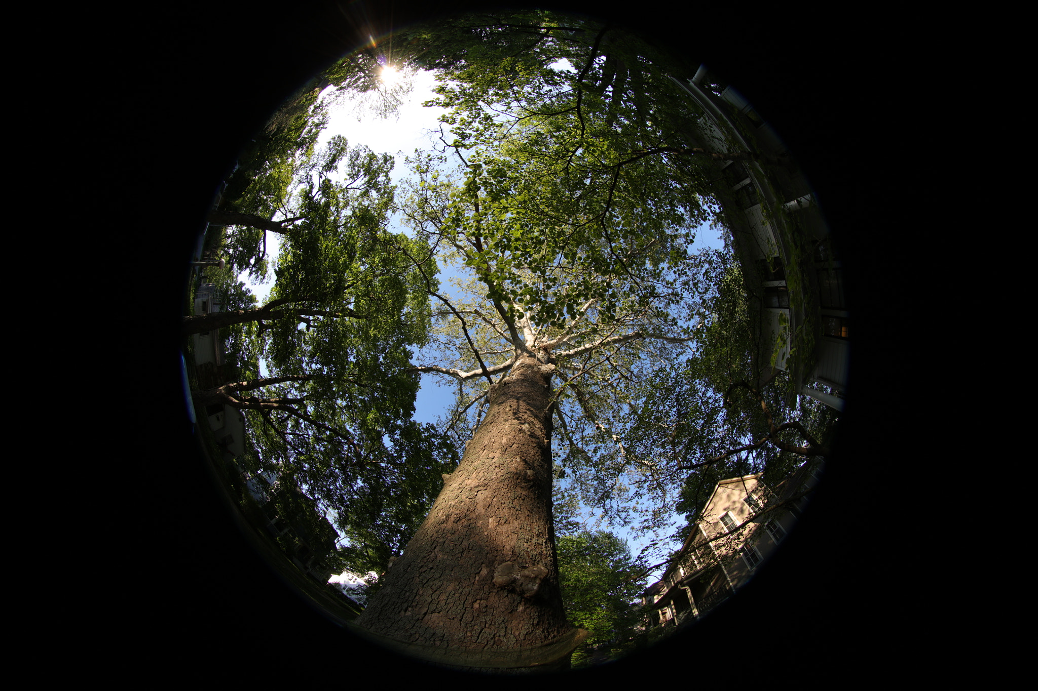 Canon EF 8-15mm F4L Fisheye USM sample photo. Any street not forgotten. photography