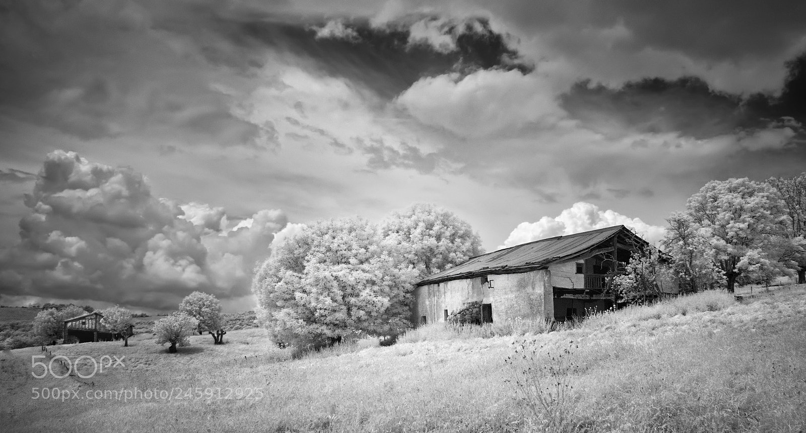 Pentax K10D sample photo. Oskotz b&w photography