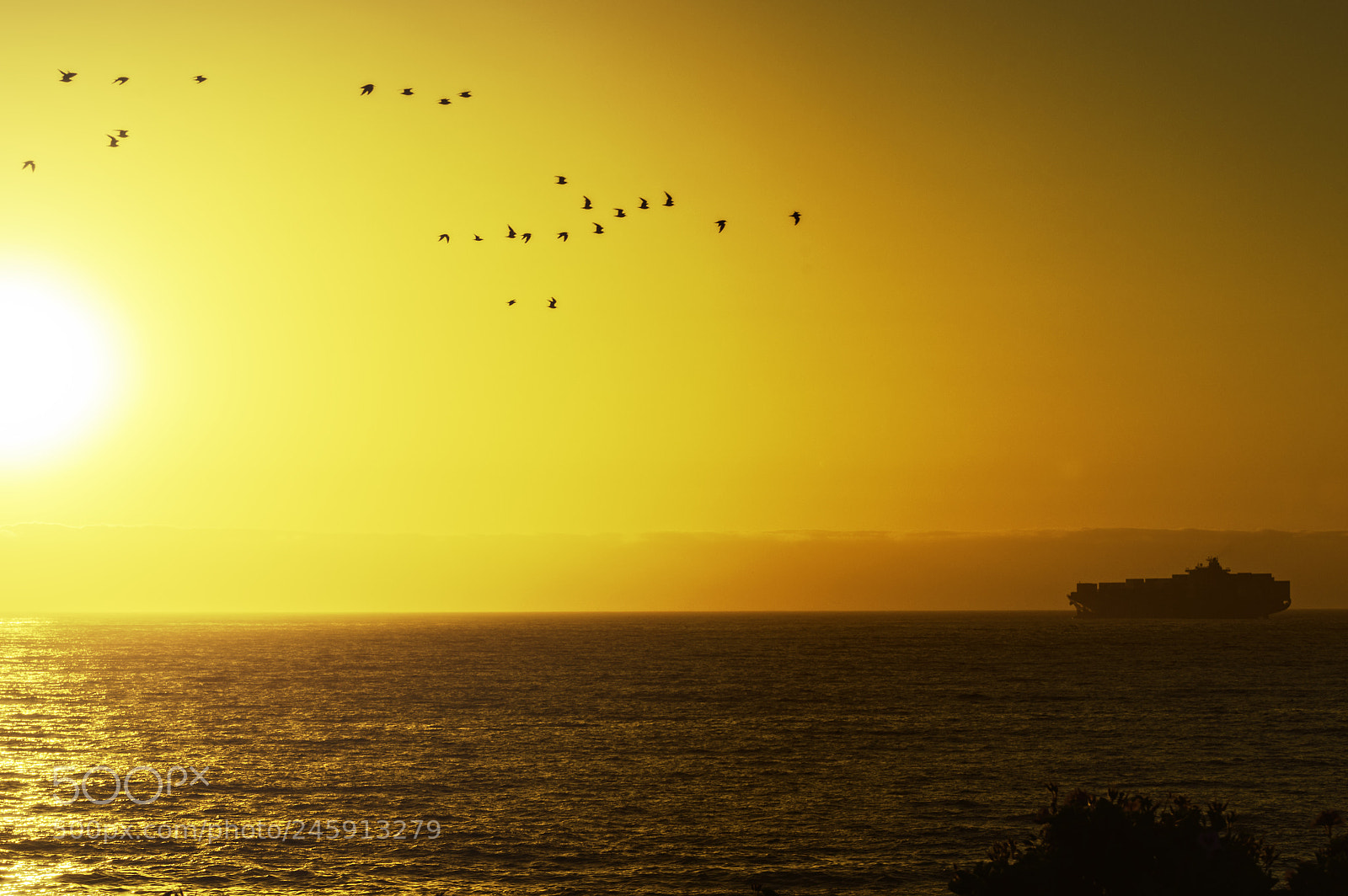 Nikon D3200 sample photo. Reñaca - chile photography