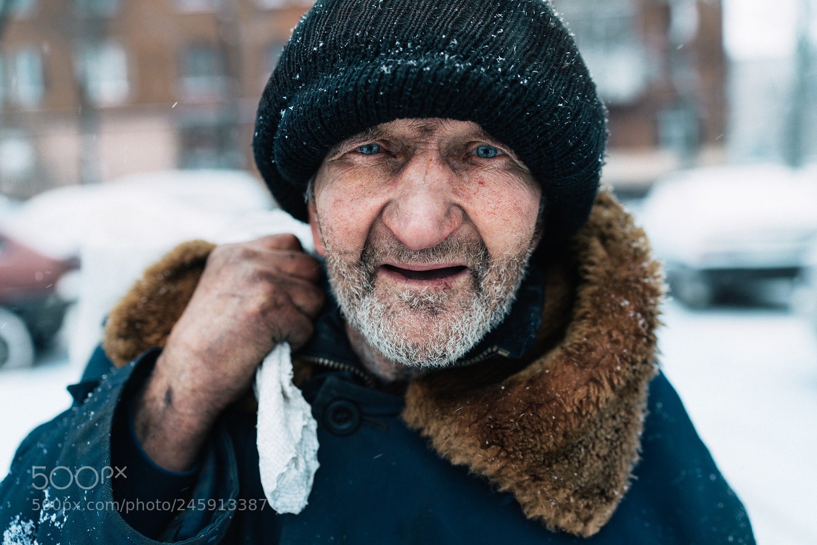 Sony a7R II sample photo. 273/365 photography