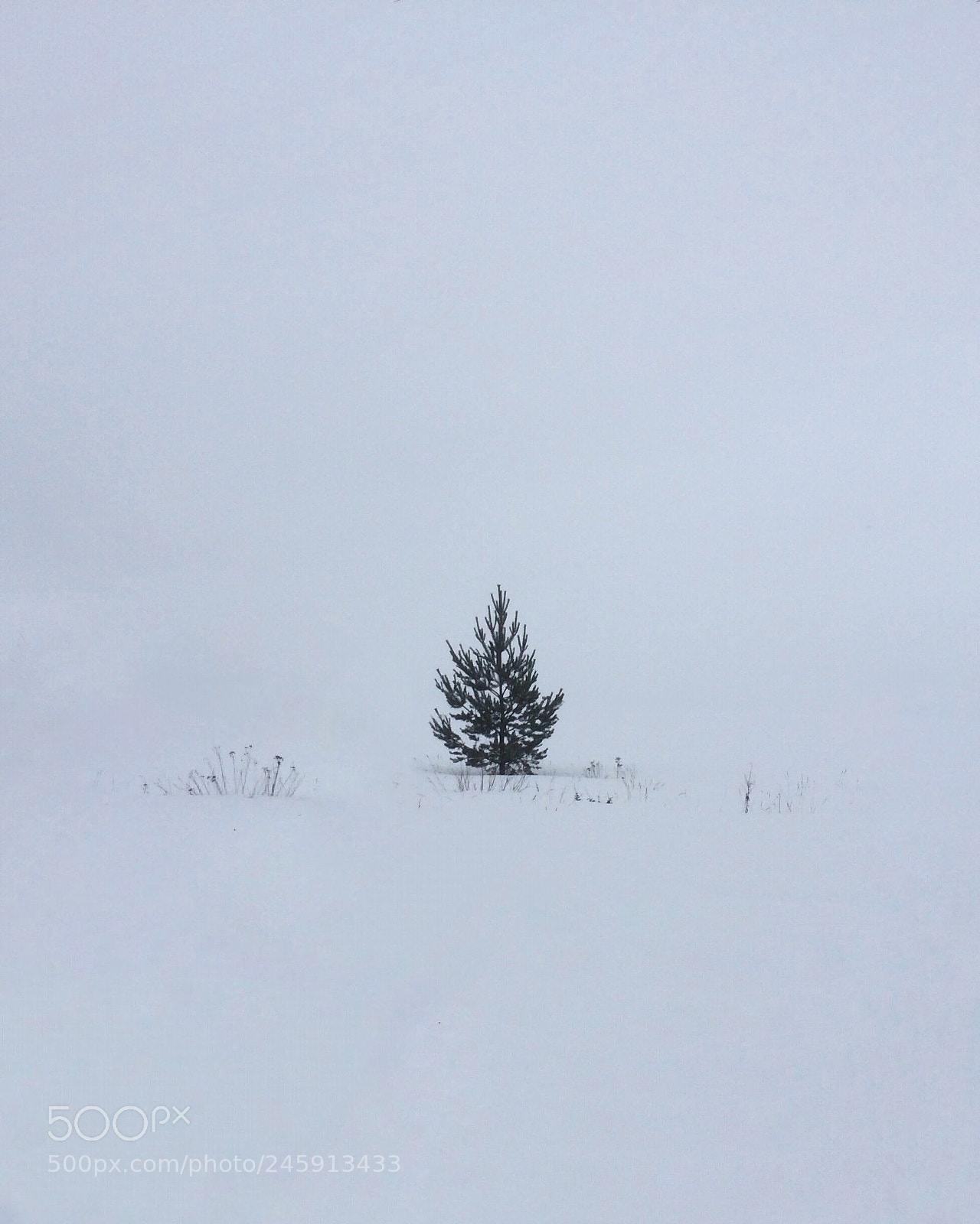 Apple iPhone 5s sample photo. Minimalism in nature photography