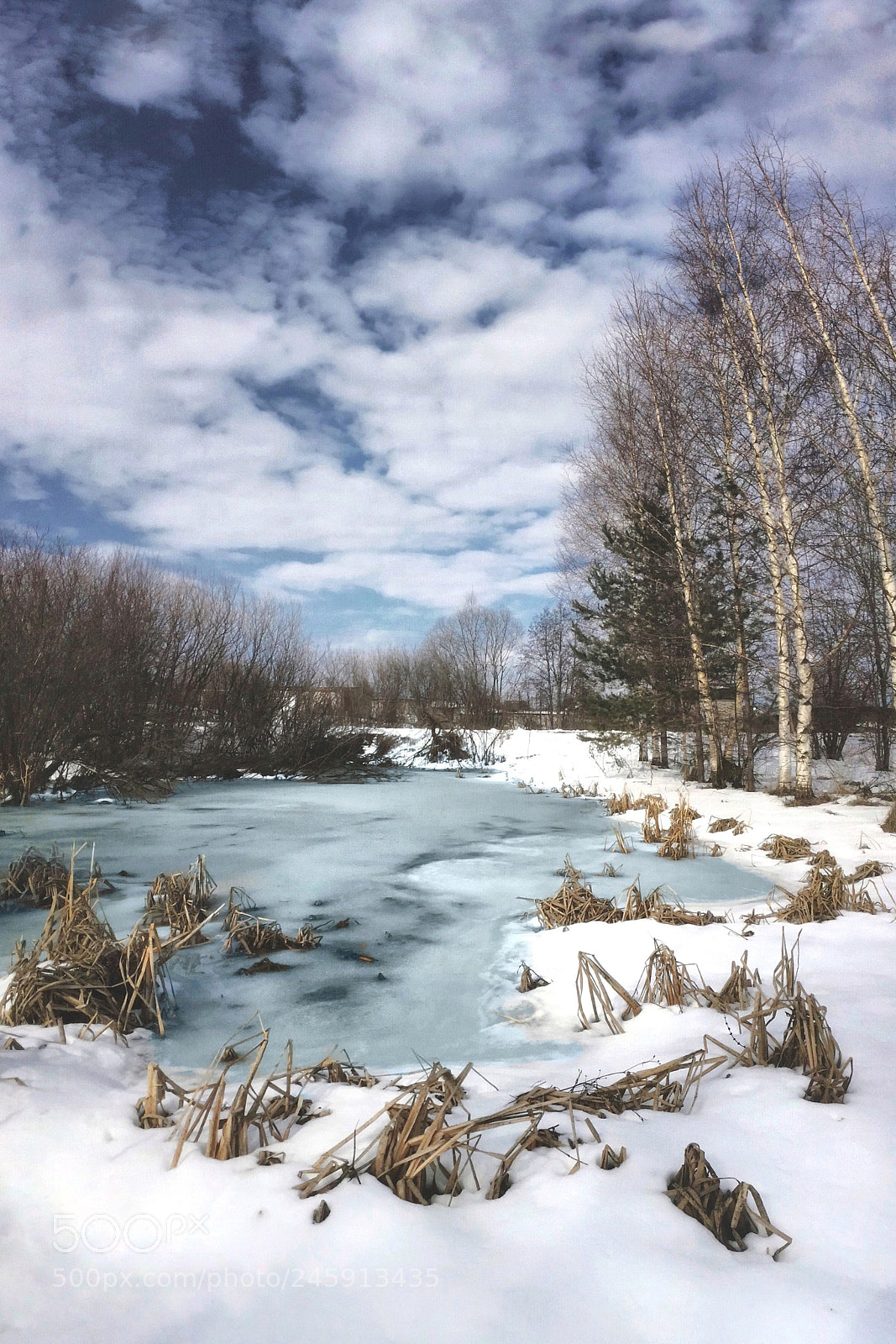 Apple iPhone 5s sample photo. Spring photography