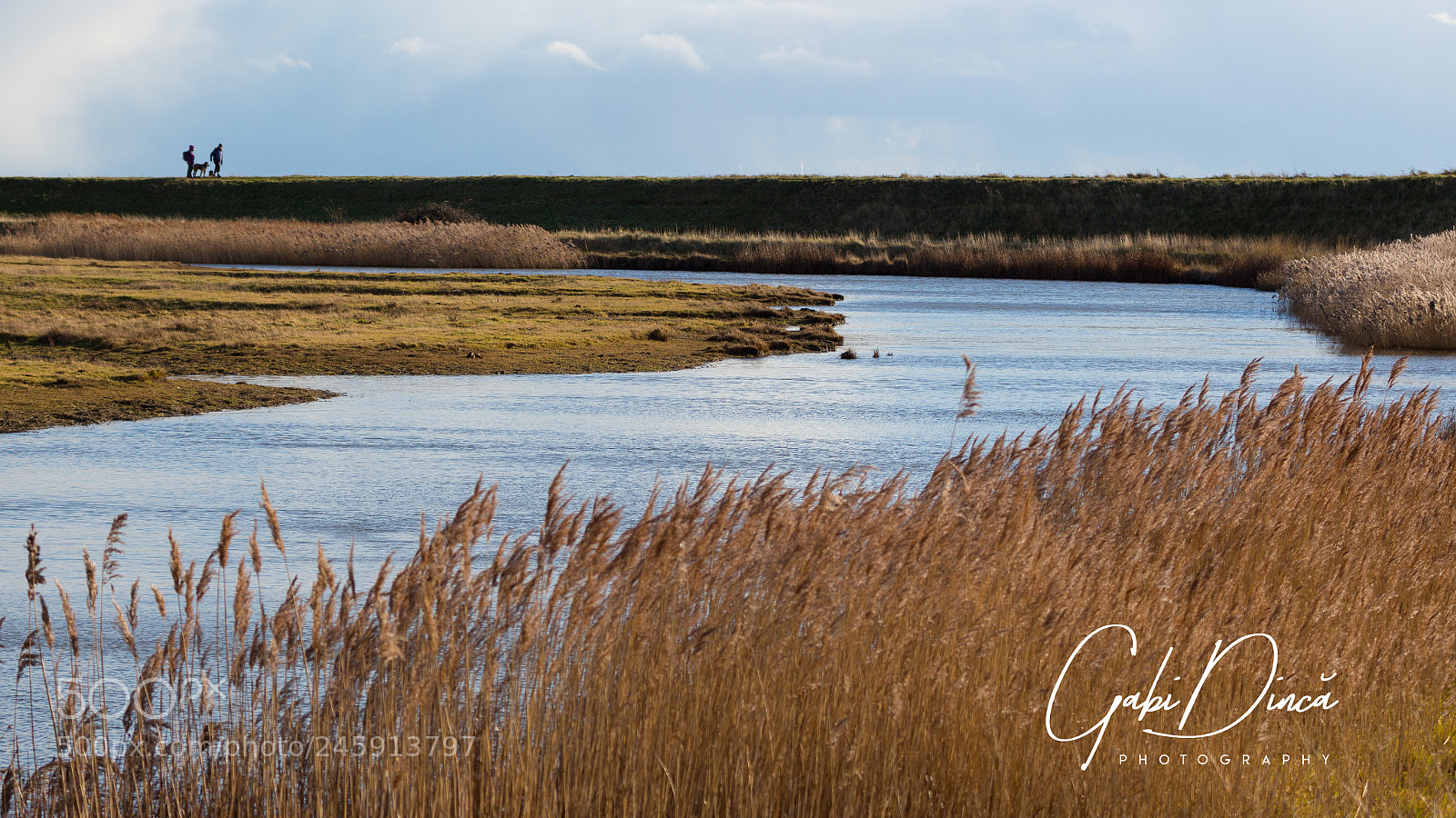 Canon EOS 650D (EOS Rebel T4i / EOS Kiss X6i) sample photo. Dog walkers photography