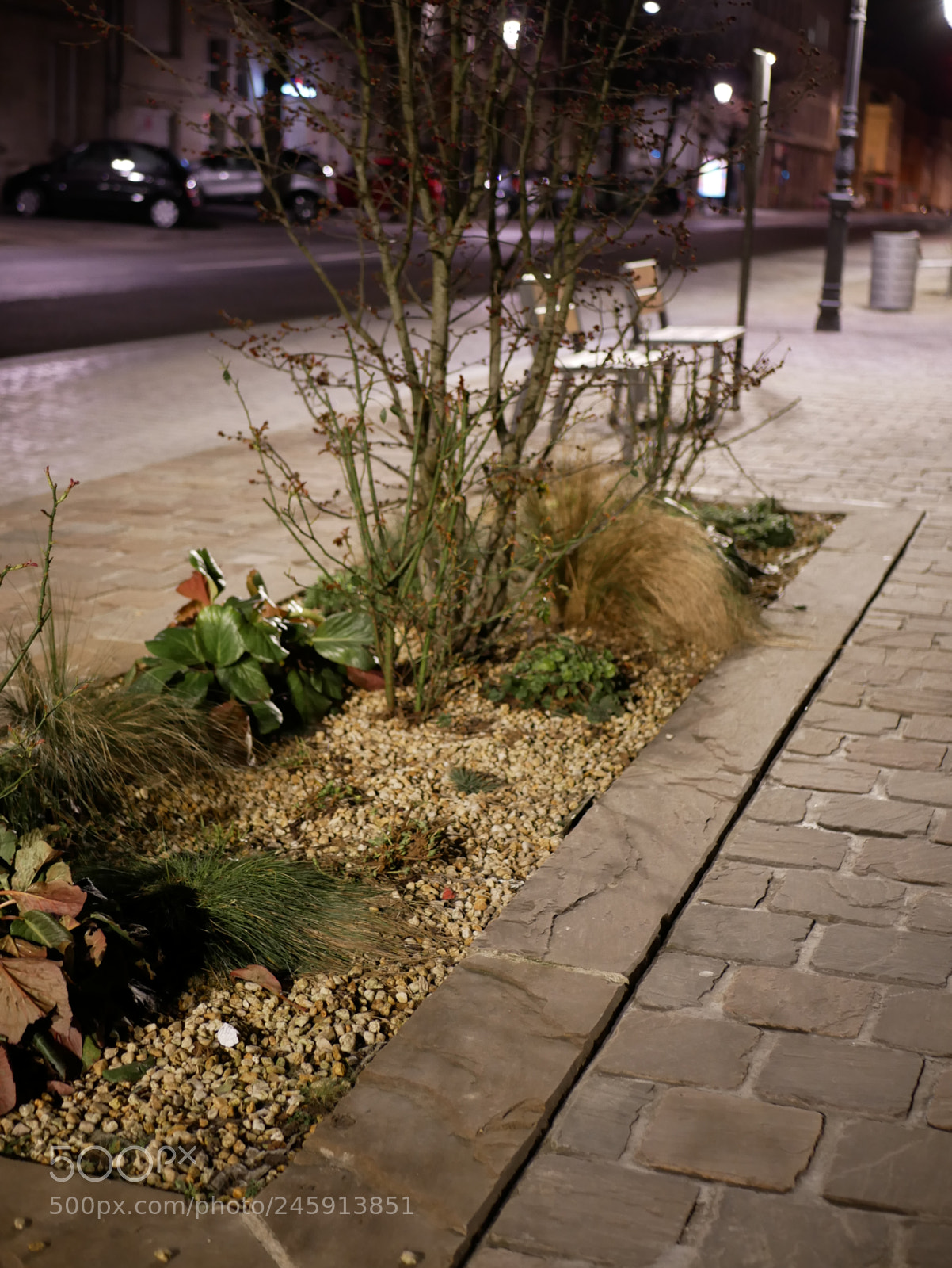 Panasonic Lumix DMC-GX85 (Lumix DMC-GX80 / Lumix DMC-GX7 Mark II) sample photo. Img photography