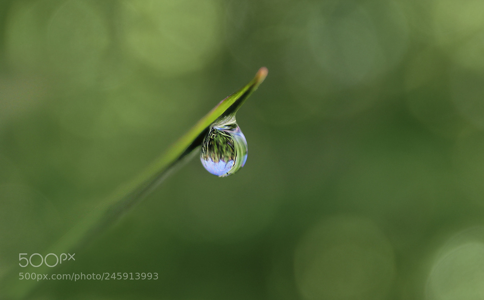 Canon EOS 60D sample photo. Rtui photography