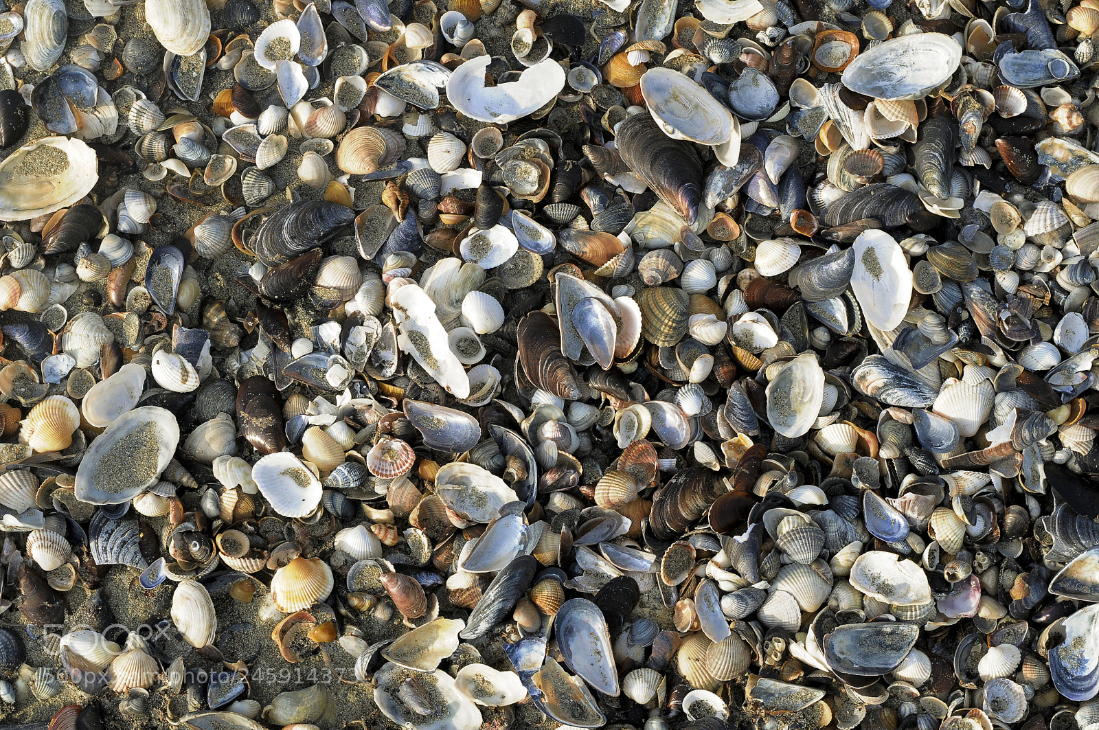 Nikon D300 sample photo. Break out of the photography
