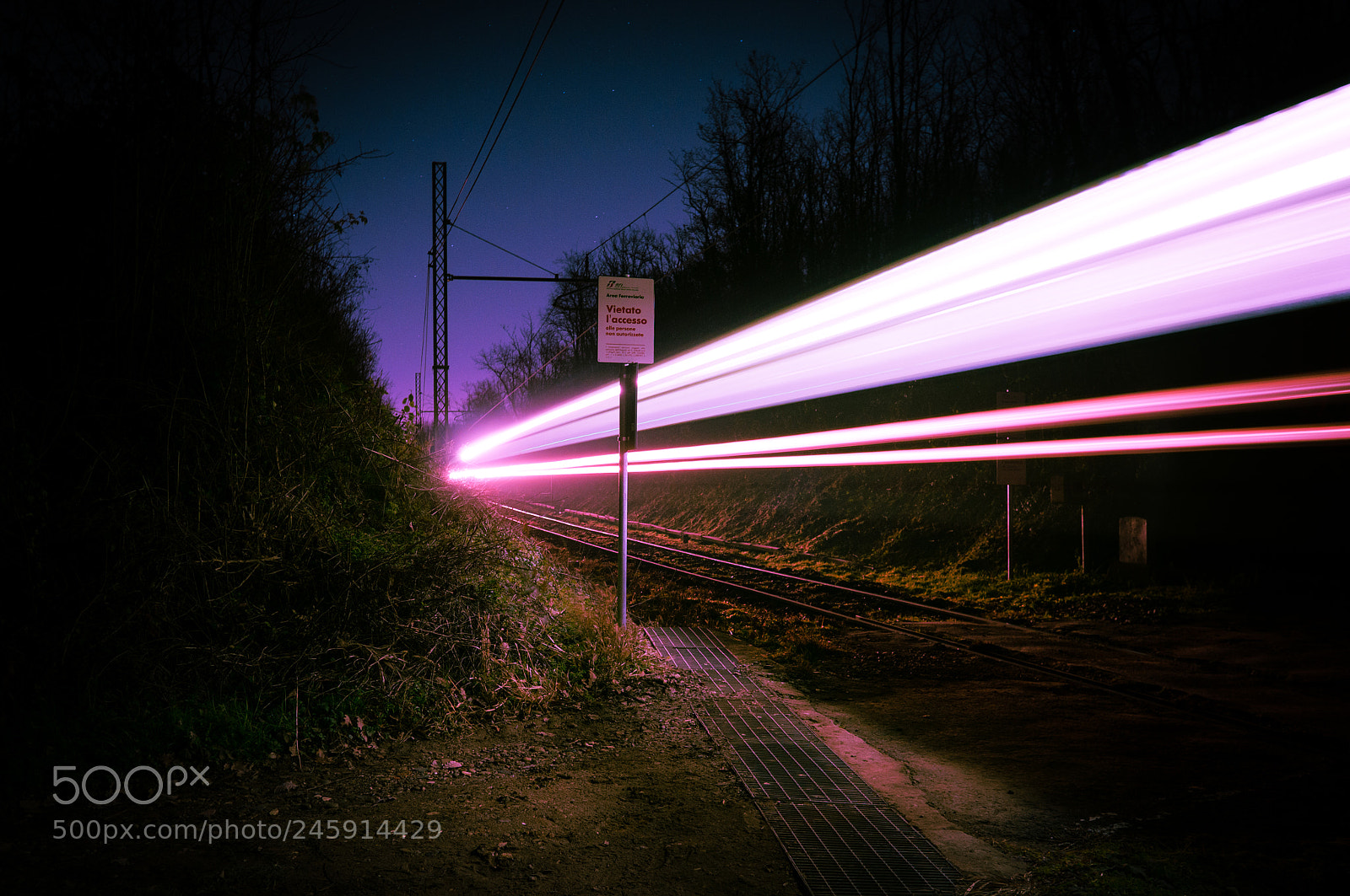 Sony Alpha NEX-6 sample photo. Run away photography
