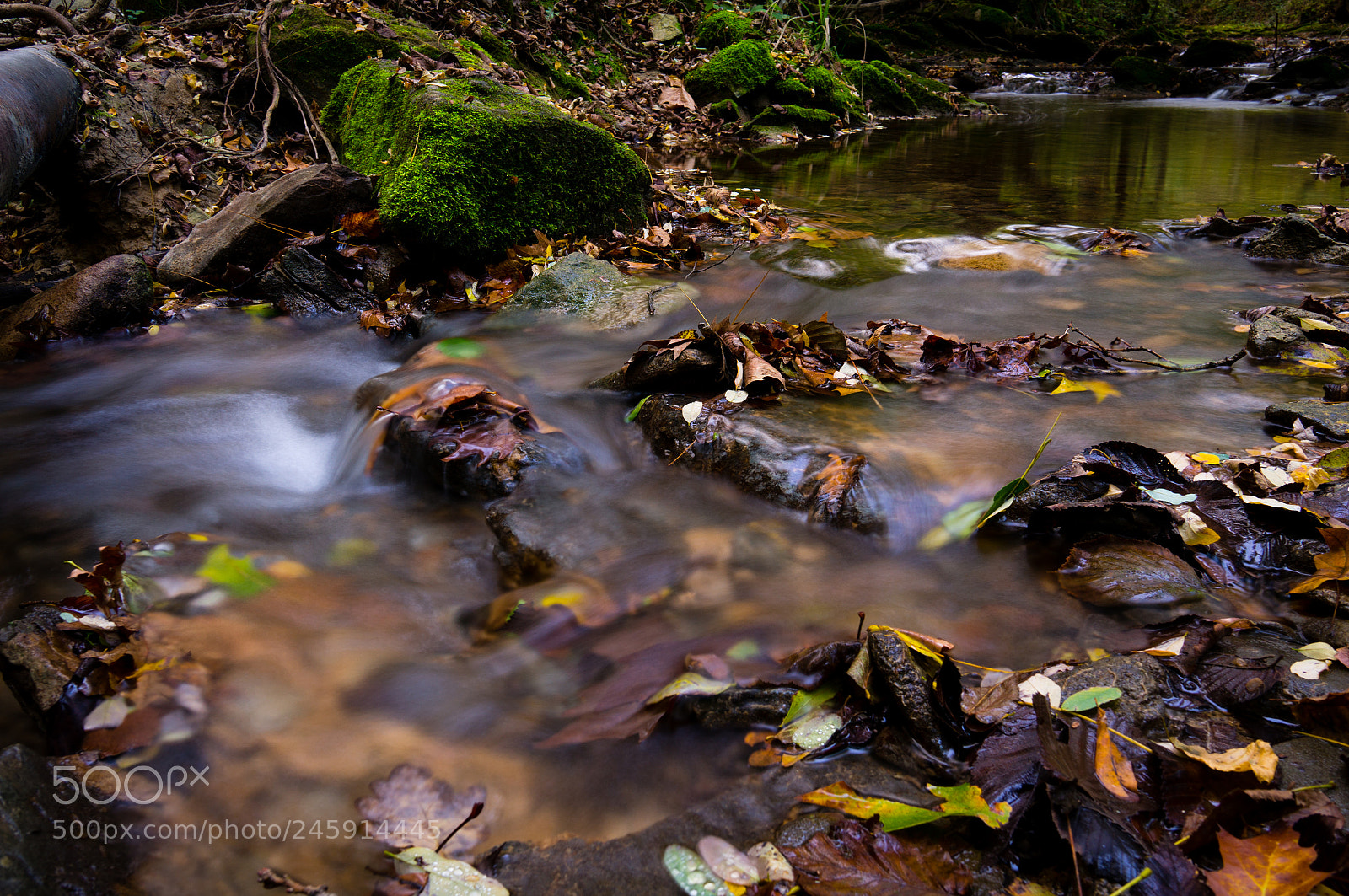 Sony Alpha NEX-6 sample photo. Autumn river photography