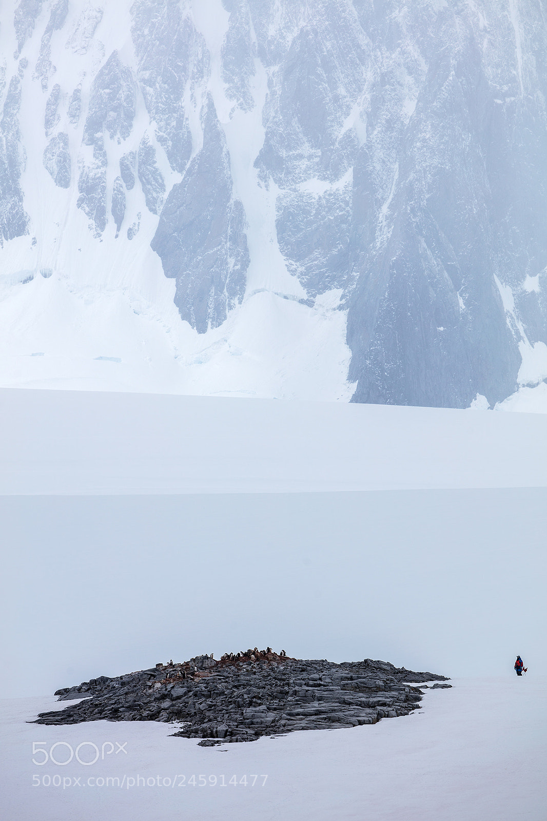 Canon EOS 5DS R sample photo. Antarctica 2018 photography