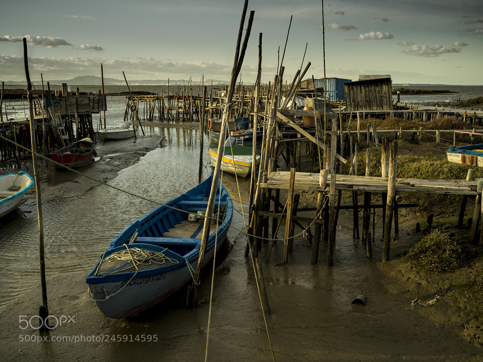 Hasselblad X1D-50c sample photo. Boat photography