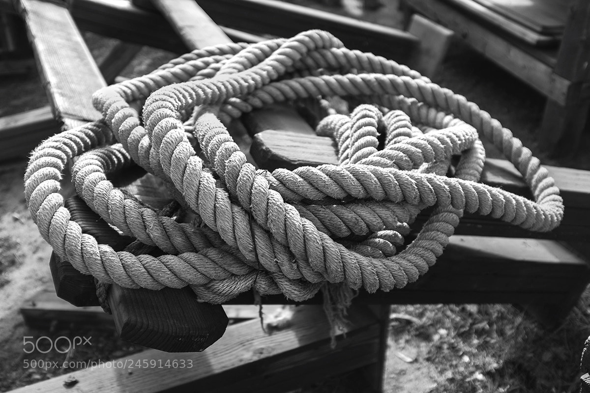 Fujifilm X100F sample photo. Roped web photography