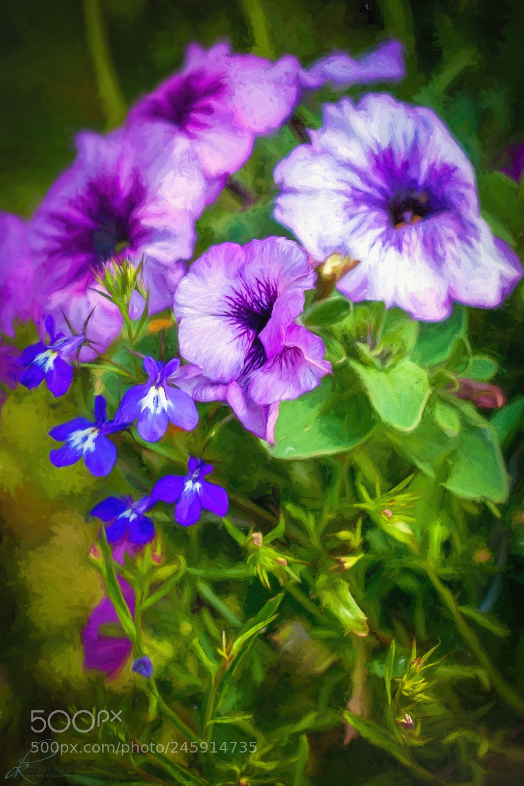 Canon EOS 50D sample photo. Positive mind photography