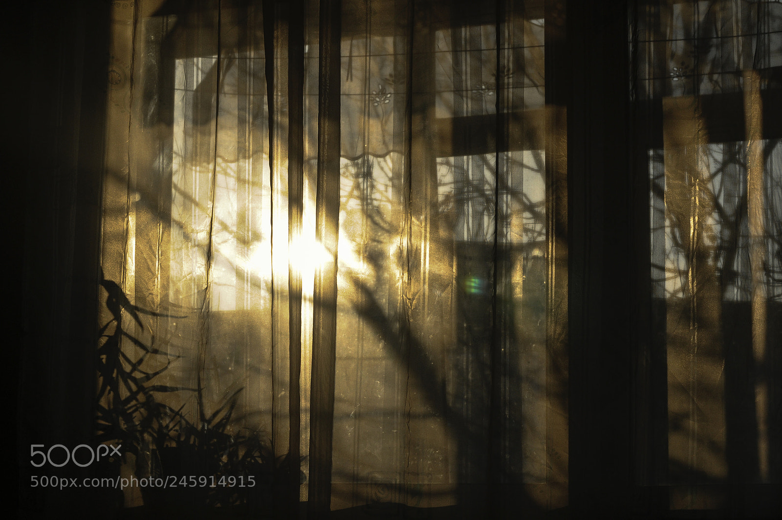 Nikon D300 sample photo. Brightnees the room photography