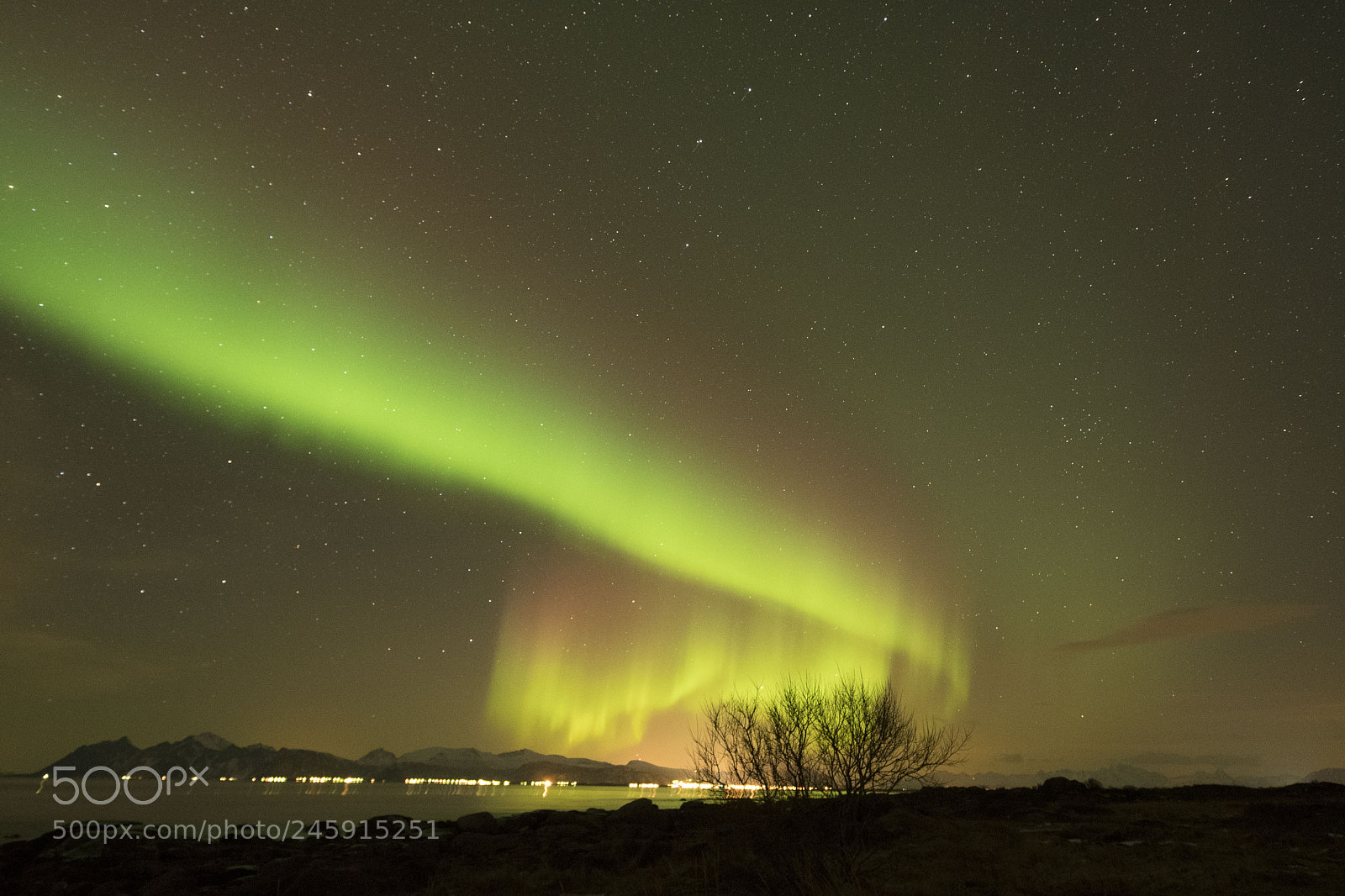 Nikon D500 sample photo. Aurora photography