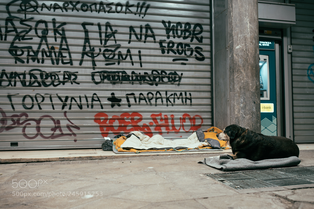 Sony a7R II sample photo. Dsc01430.jpg photography