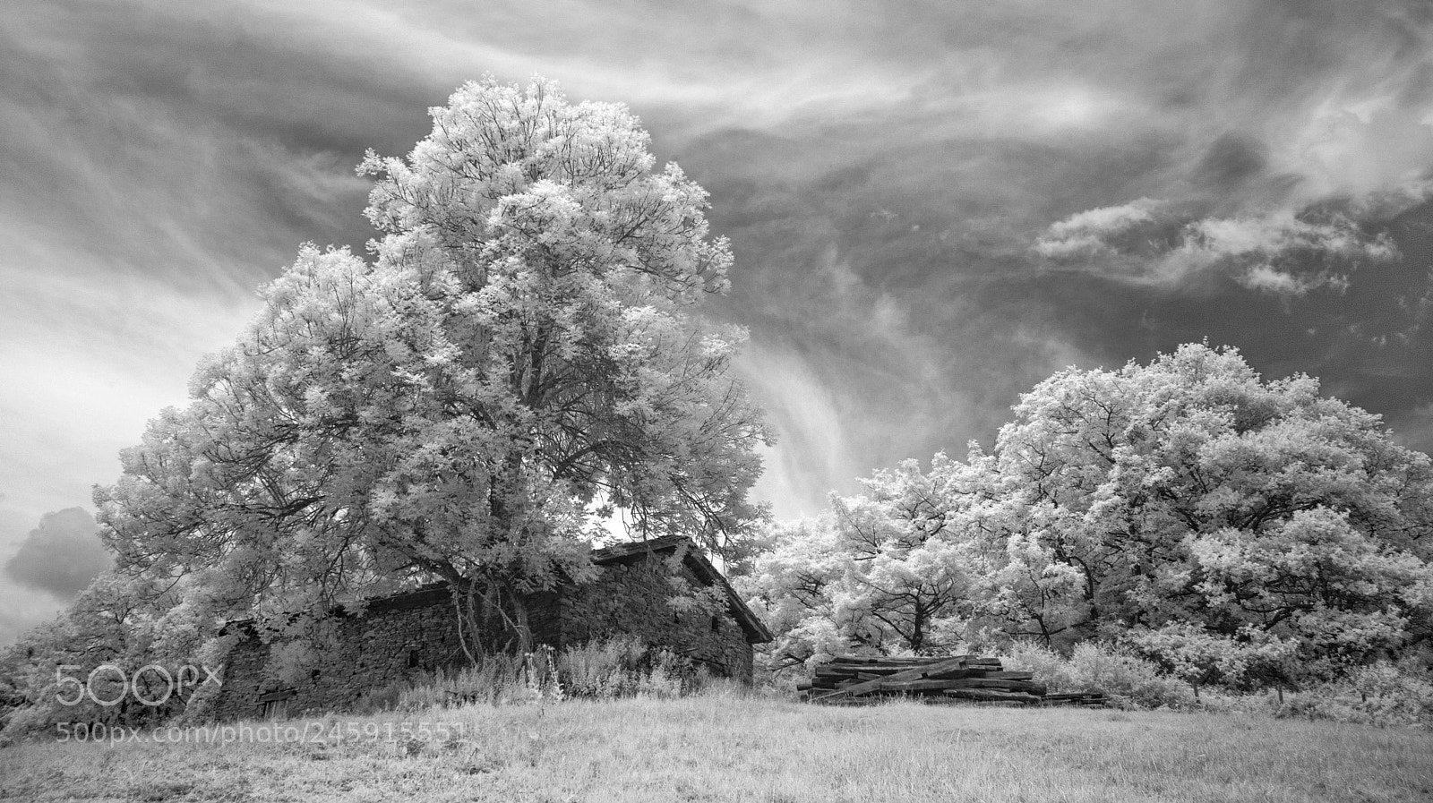 Pentax K10D sample photo. Oskotz infrared photography
