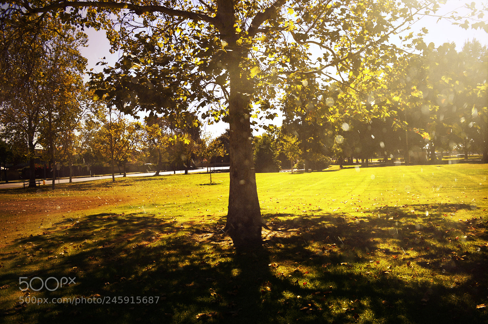 Nikon D3200 sample photo. Parks autumn colors photography