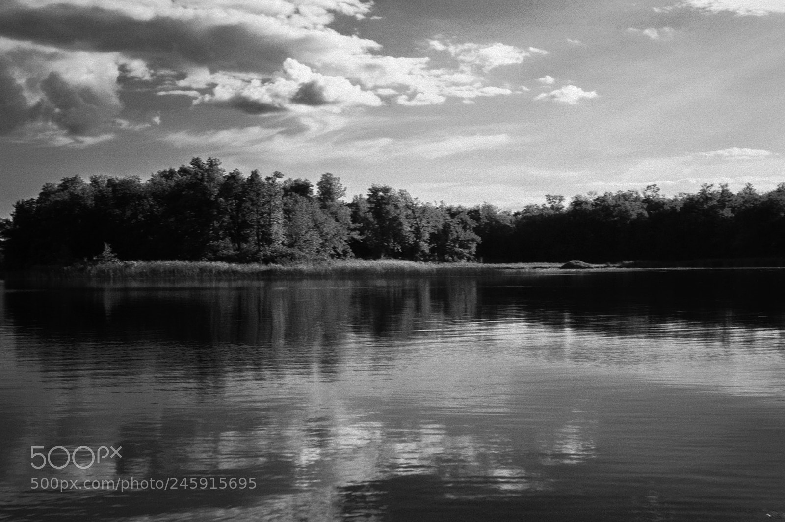 Nikon D3200 sample photo. Black and white lake photography