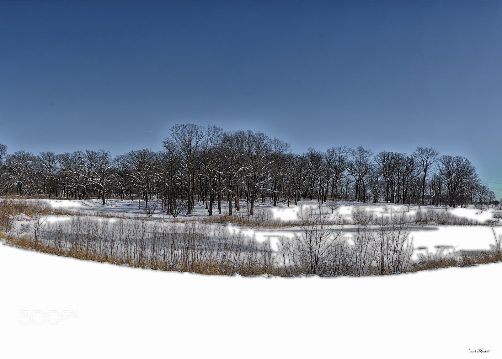 Nikon D810 sample photo. Morton arboretum, lisle il photography