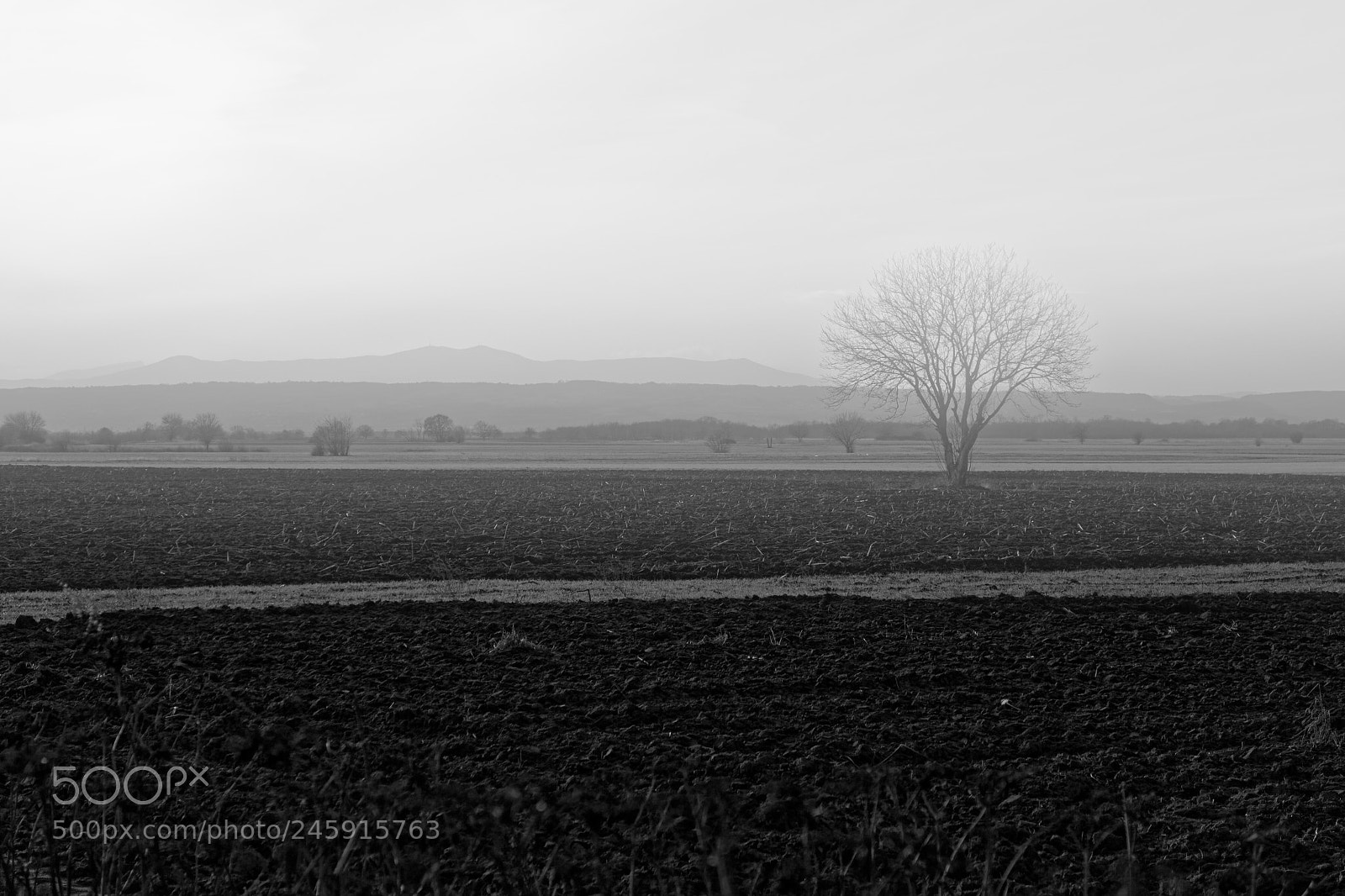 Canon EOS M sample photo. Countryside mist photography