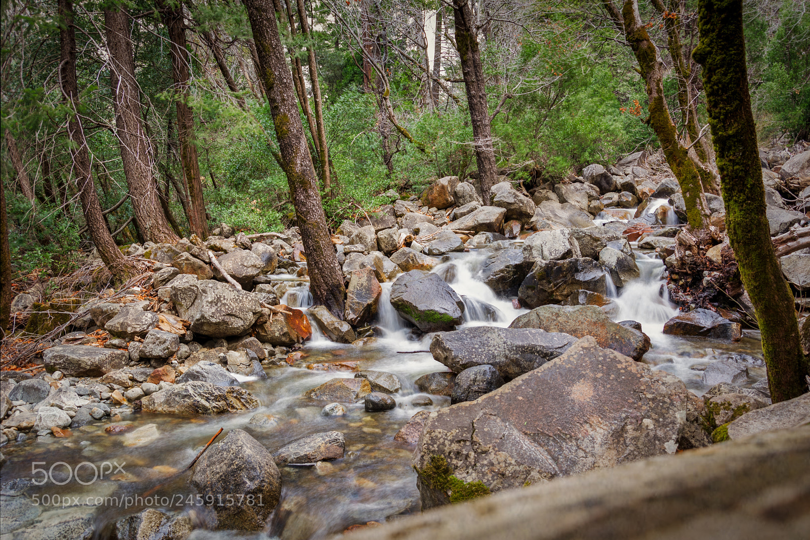 Nikon D5200 sample photo. Bridalveil creek photography