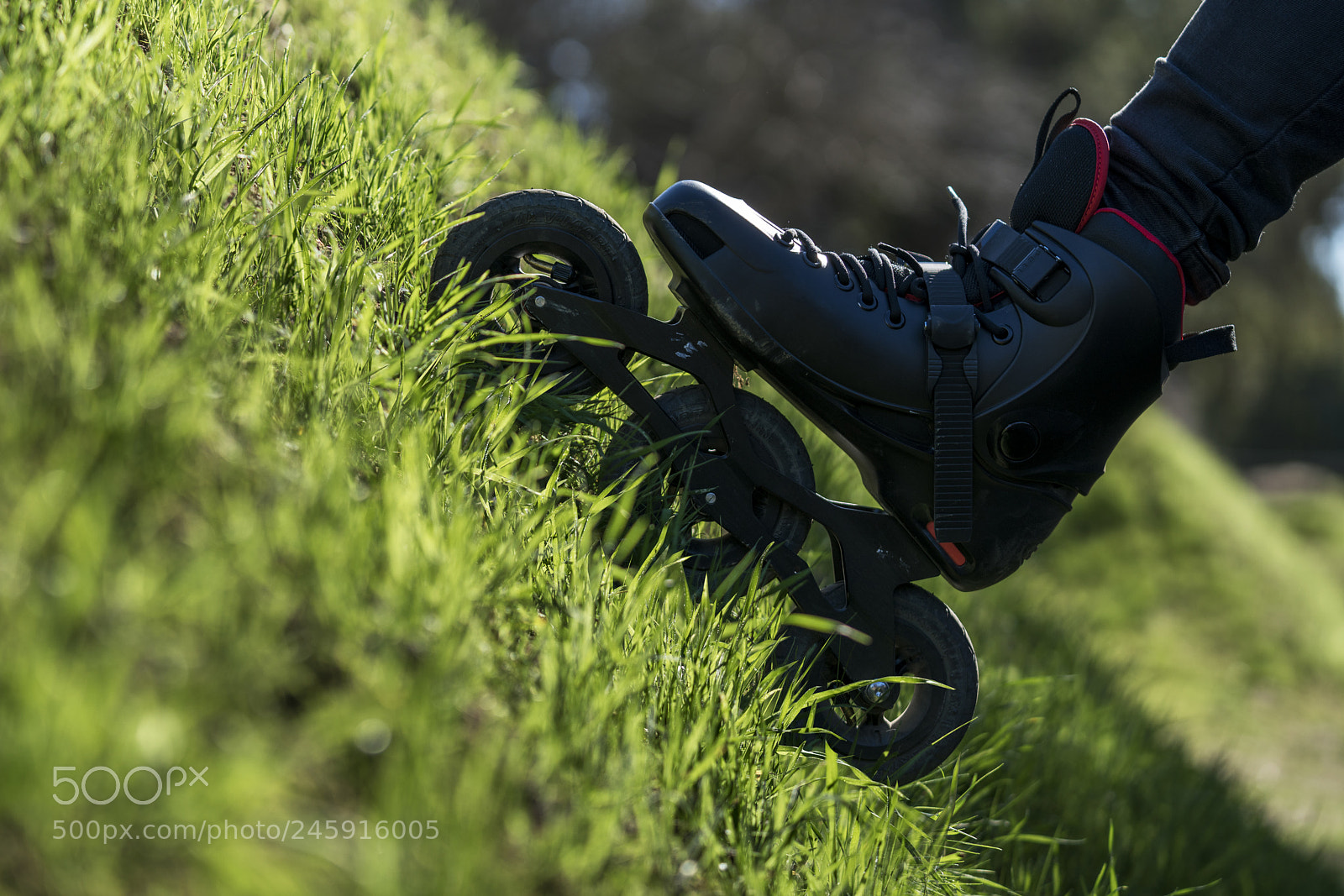 Sony a7R II sample photo. Rollerblader photography