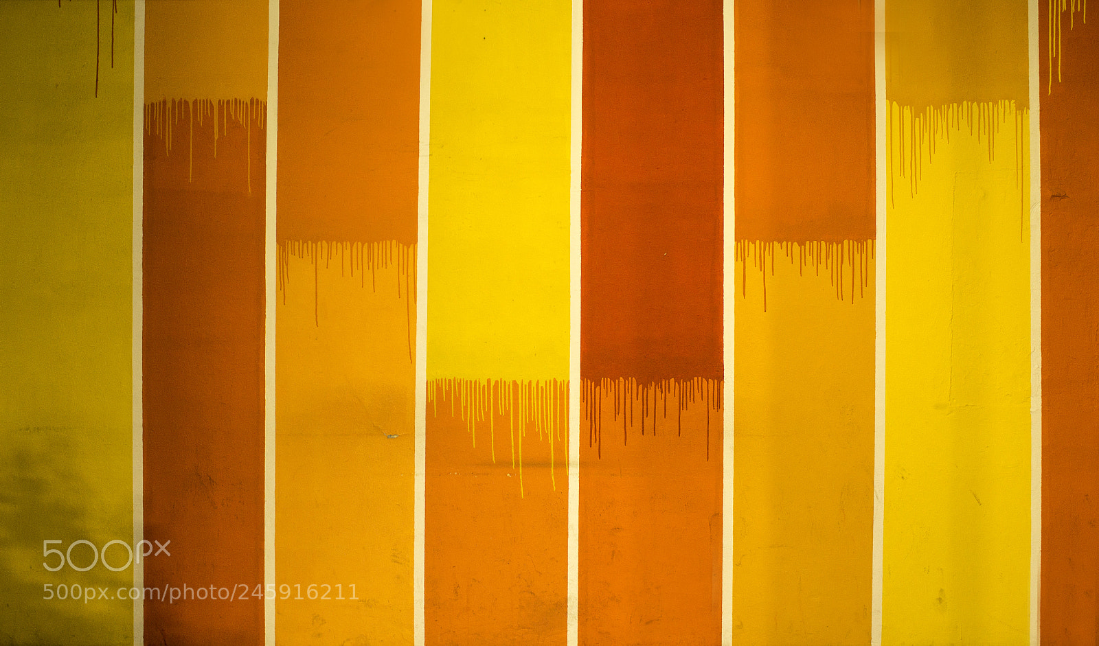 Canon EOS 1200D (EOS Rebel T5 / EOS Kiss X70 / EOS Hi) sample photo. Yellow wall photography