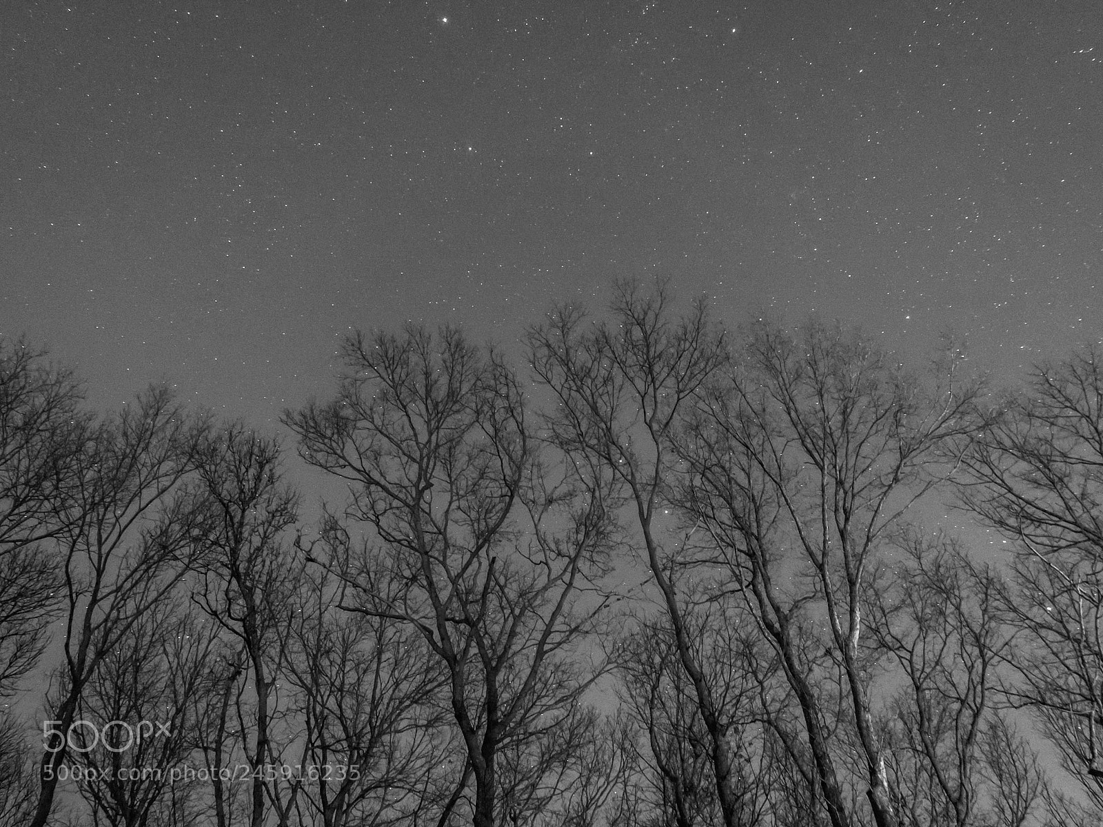 Sony DSC-RX100M5 sample photo. Winter evening photography