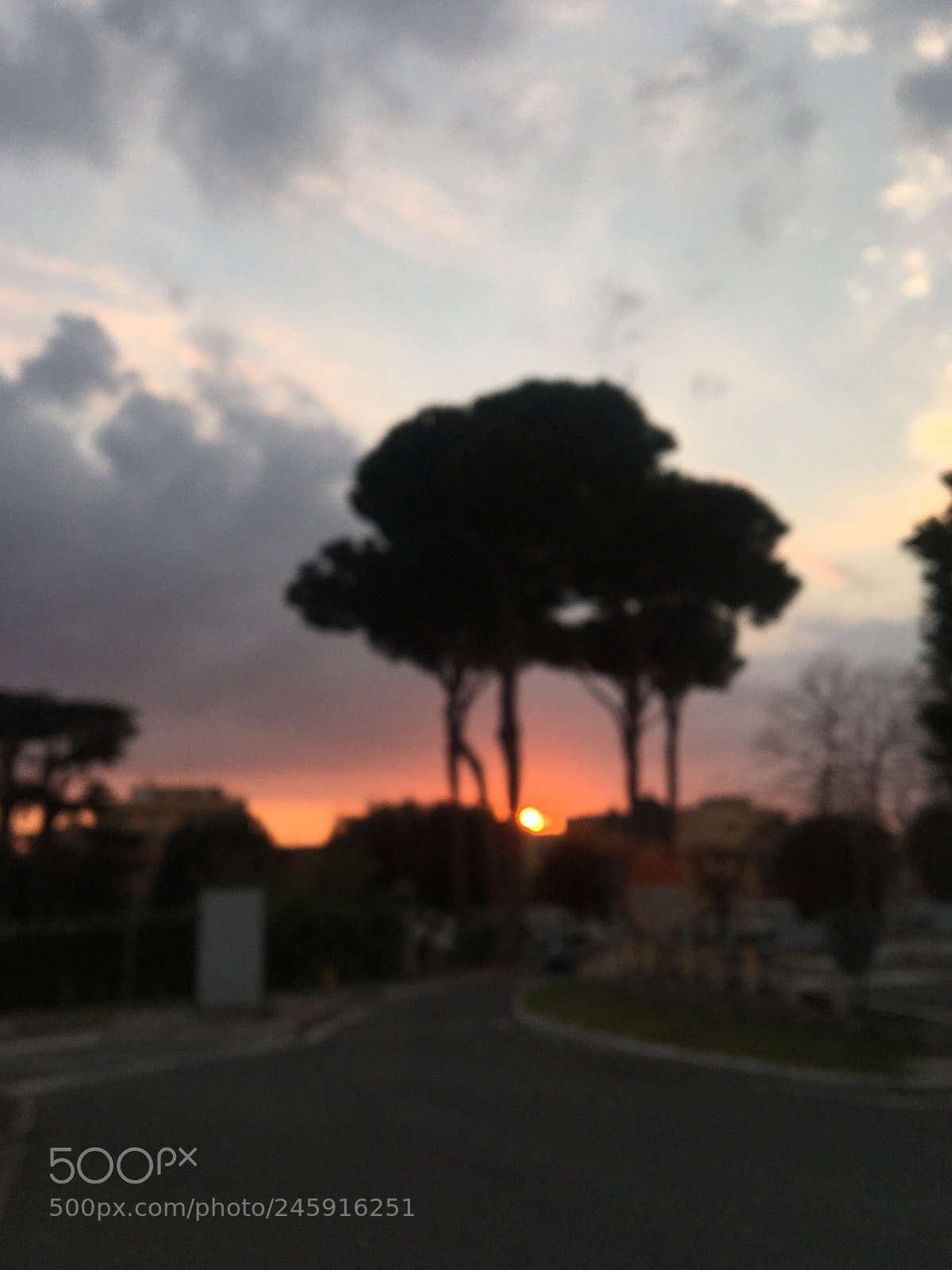 Apple iPhone 6s sample photo. Into the sunset photography