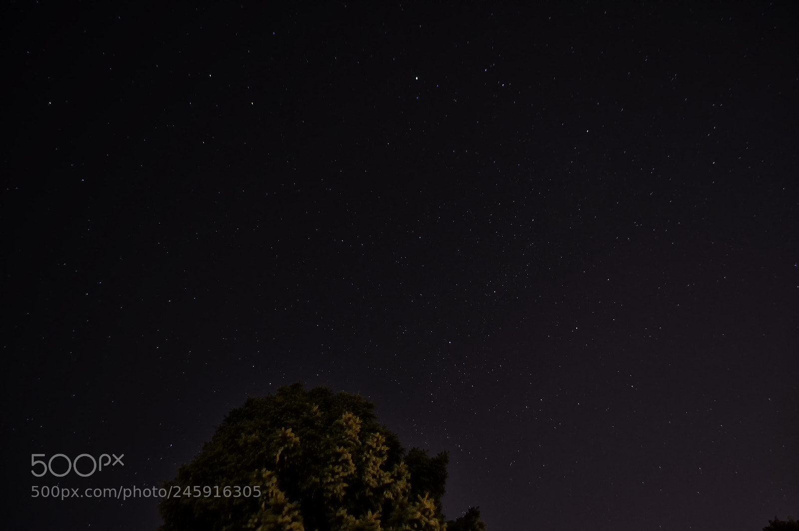Nikon D5000 sample photo. Montreal stars photography