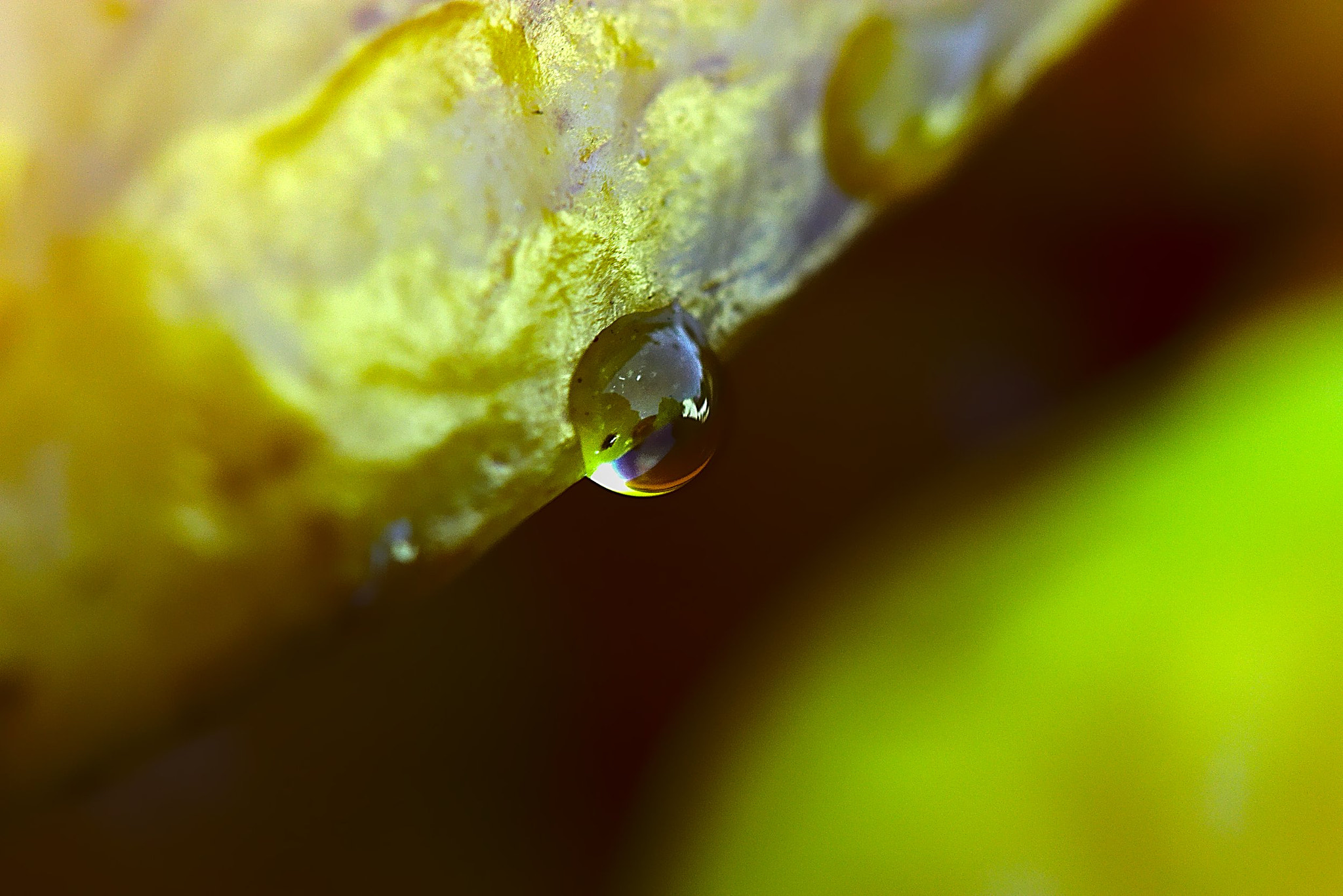 Canon EF 100mm F2.8 Macro USM sample photo. Drop of water photography