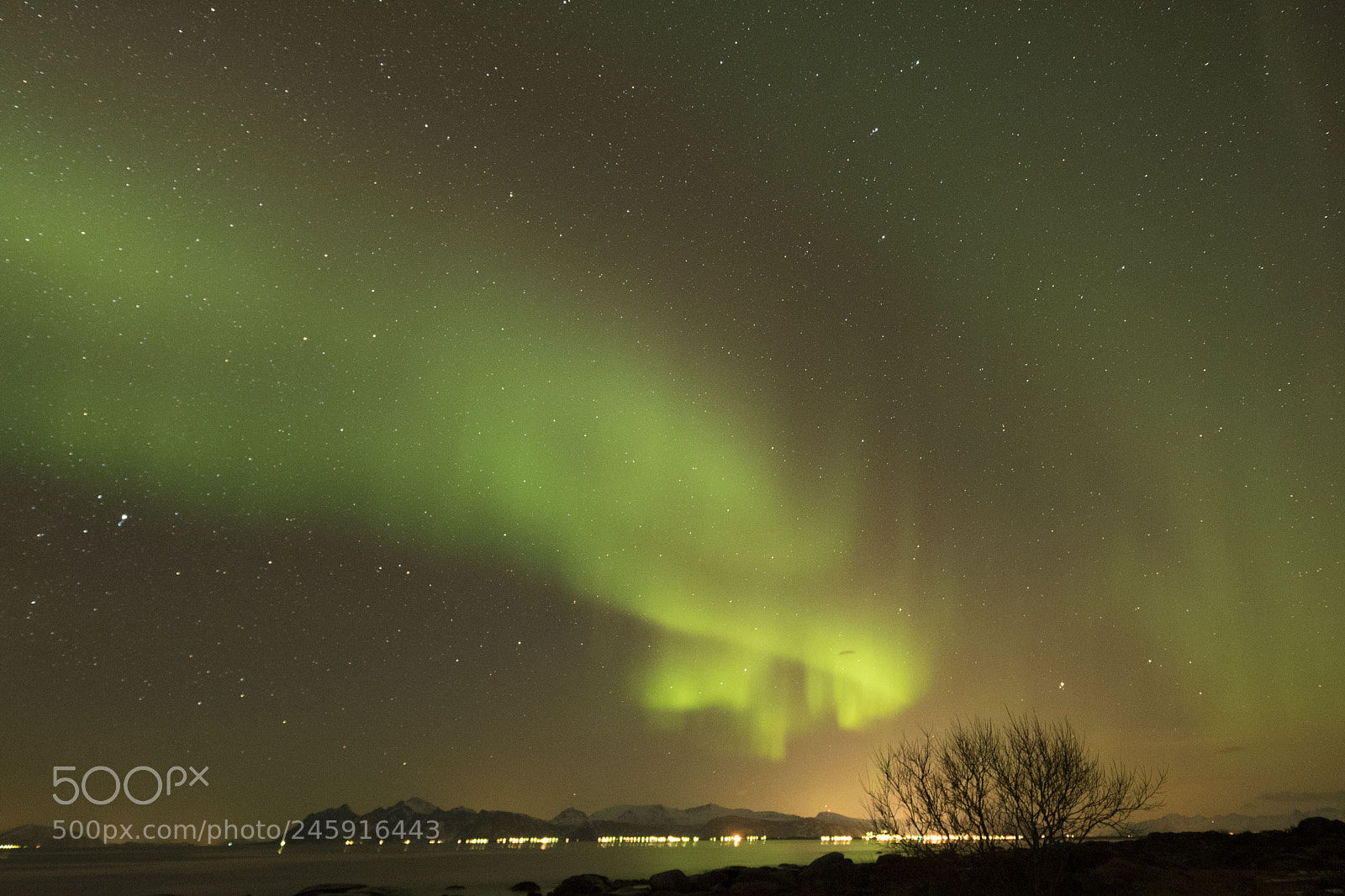 Nikon D500 sample photo. Aurora photography